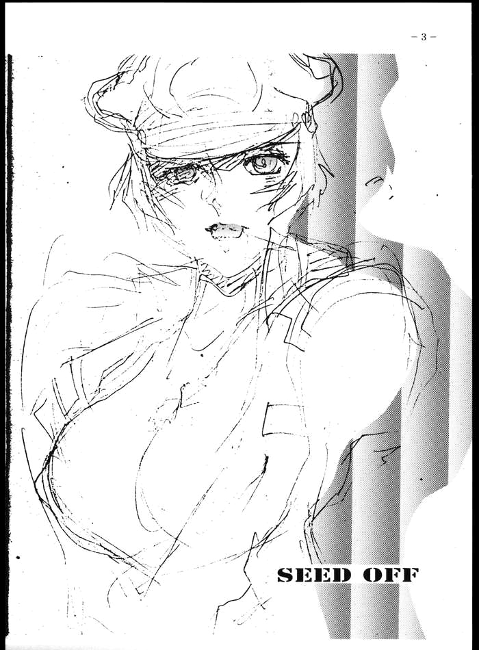 [日本漫画] [C_R_C (Don.繁)] SEED OFF (機動戦士ガンダムSEED) 单本,女同百合#[14P]-2