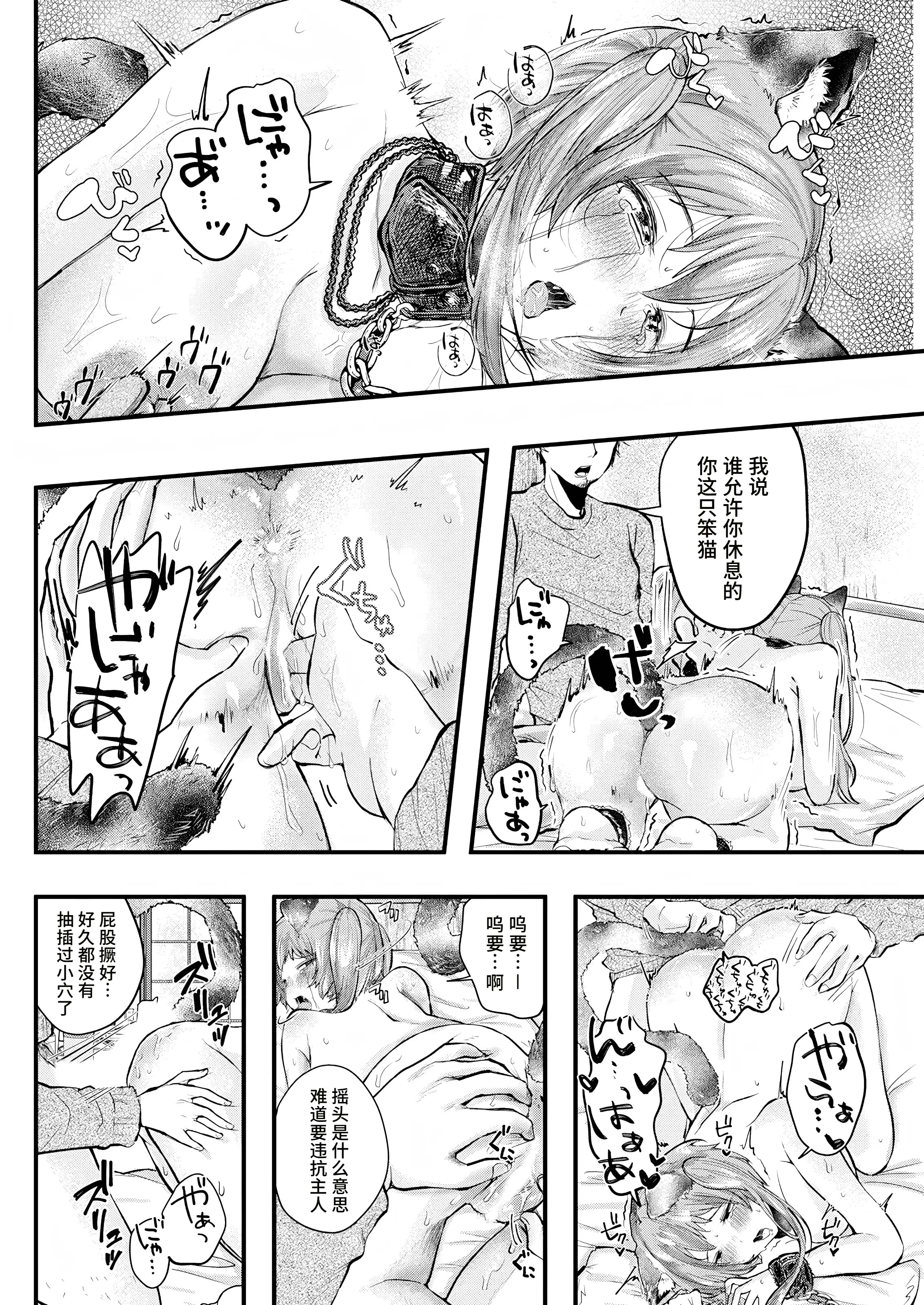 [日本漫画] [わづち直] 開運招福⭐︎愛玩にゃんこ (アクションピザッツ 2025年6月号) [DL版] 单本,兽耳,束缚#[20P]-12