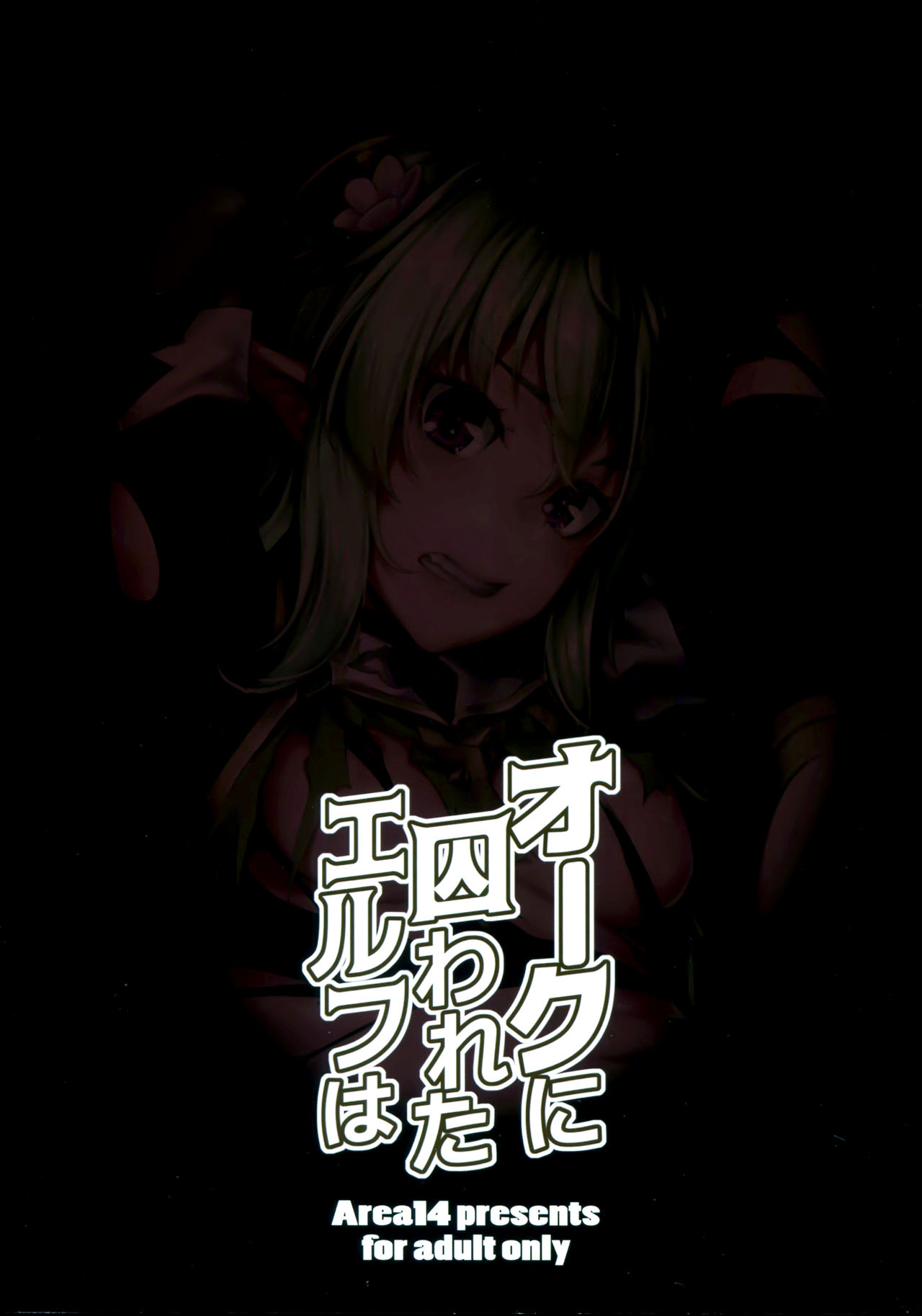 [日本漫画] (COMIC1☆13) [Area14 (Kasei)] Orc ni Torawareta Elf wa  单本,肛门,强奸,群P,内射中出#[26P]-2