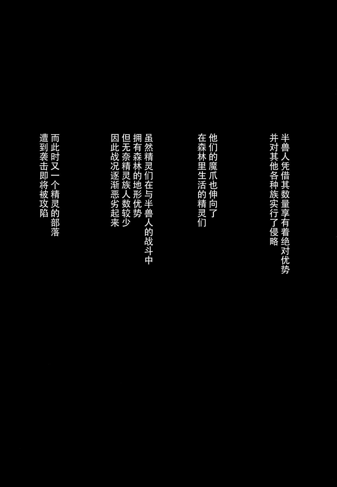 [日本漫画] (COMIC1☆13) [Area14 (Kasei)] Orc ni Torawareta Elf wa  单本,肛门,强奸,群P,内射中出#[26P]-3