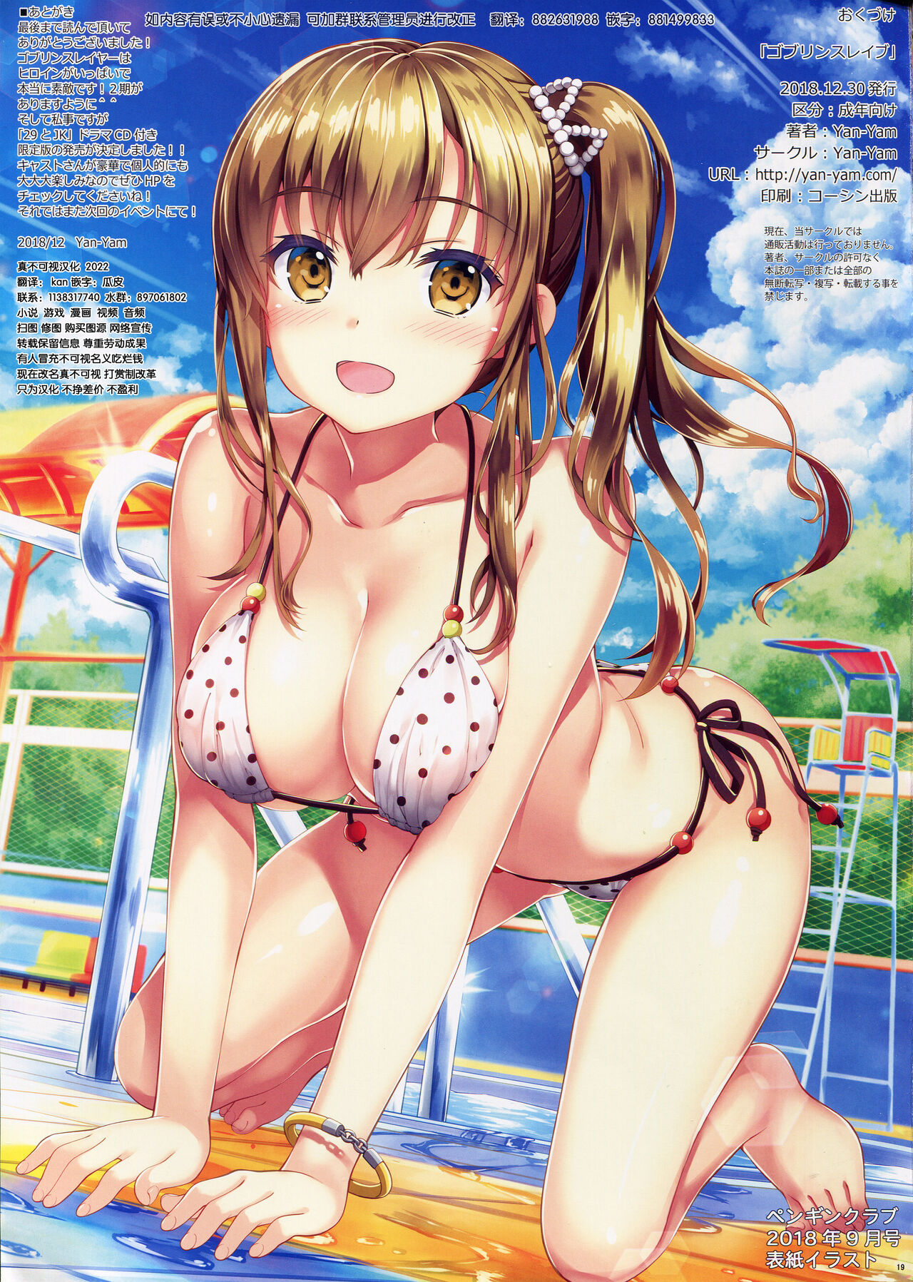 [日本漫画] (C95) [Yan-Yam] Goblin Slave  哥布林奴隶 (Goblin Slayer)   单本,肛门,强奸,巨乳大奶,群P#[20P]-19