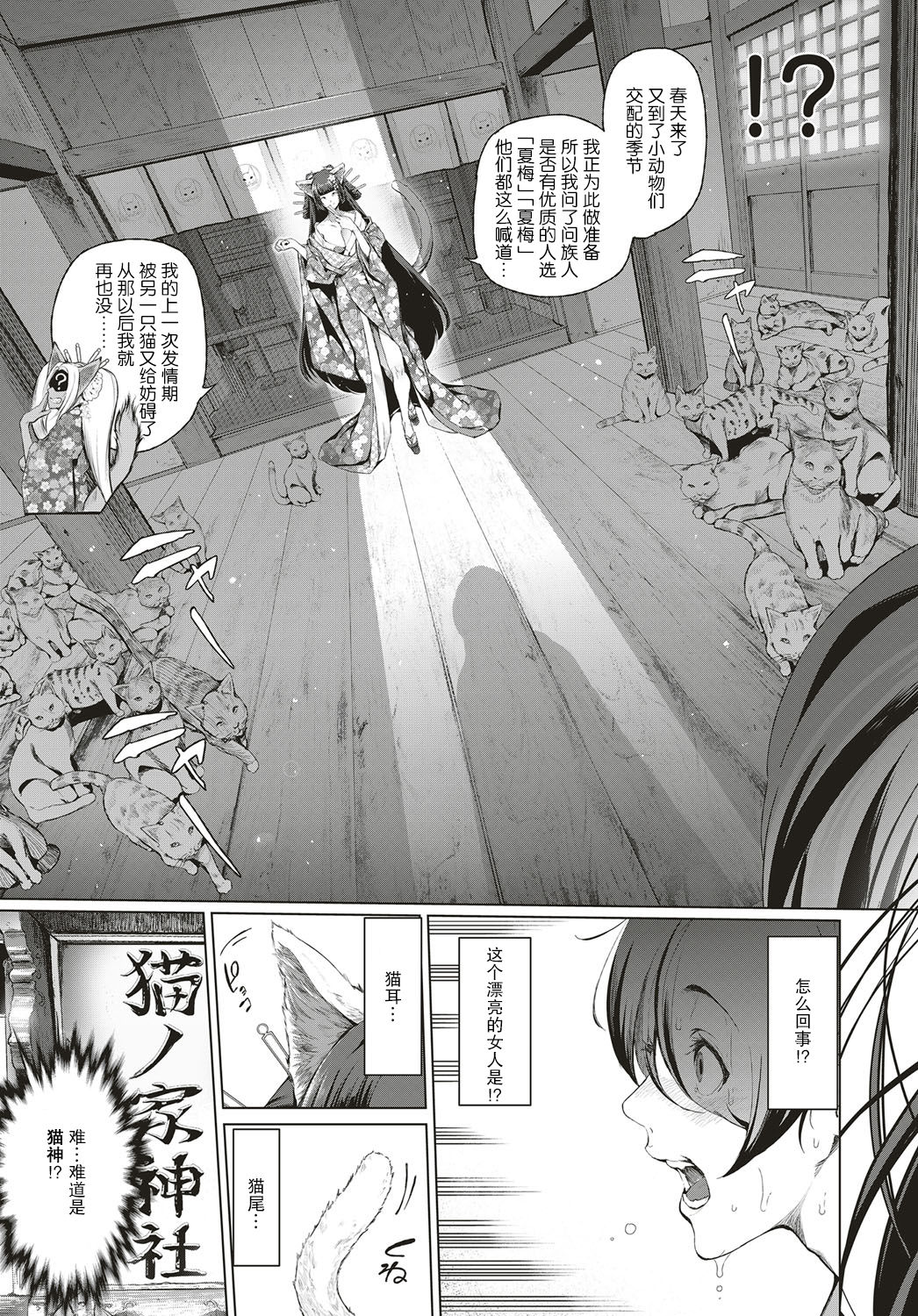 [日本漫画] [Suzuhane Suzu] Boy Meets Nyaa God Ch. 1 (COMIC ExE 04)  单本,巨乳大奶,单女,兽耳,单男,猫女#[35P]-4