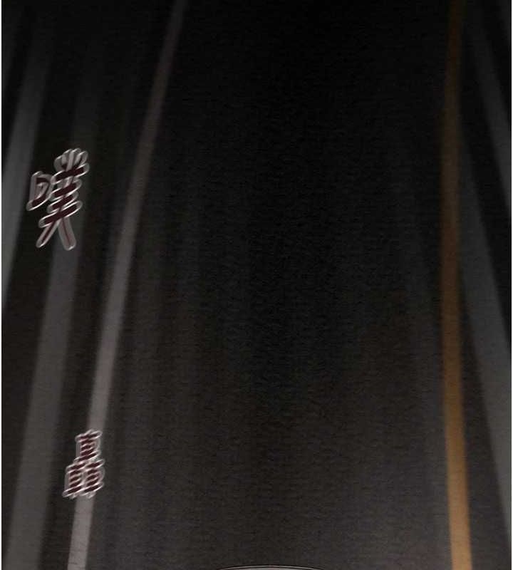 [韩国漫画] 掠夺行动 剧情,巨乳大奶#[237P]-159