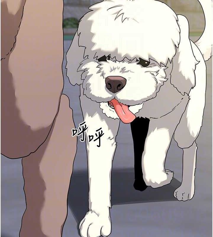 [韩国漫画] 熟女计划书 剧情,OL#[187P]-102
