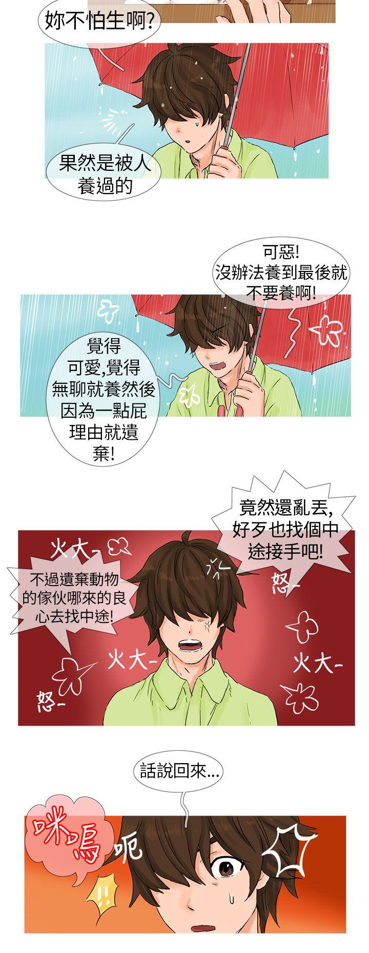 [韩国漫画] 小野猫驯服手册 奇幻,巨乳大奶#[12P]-6