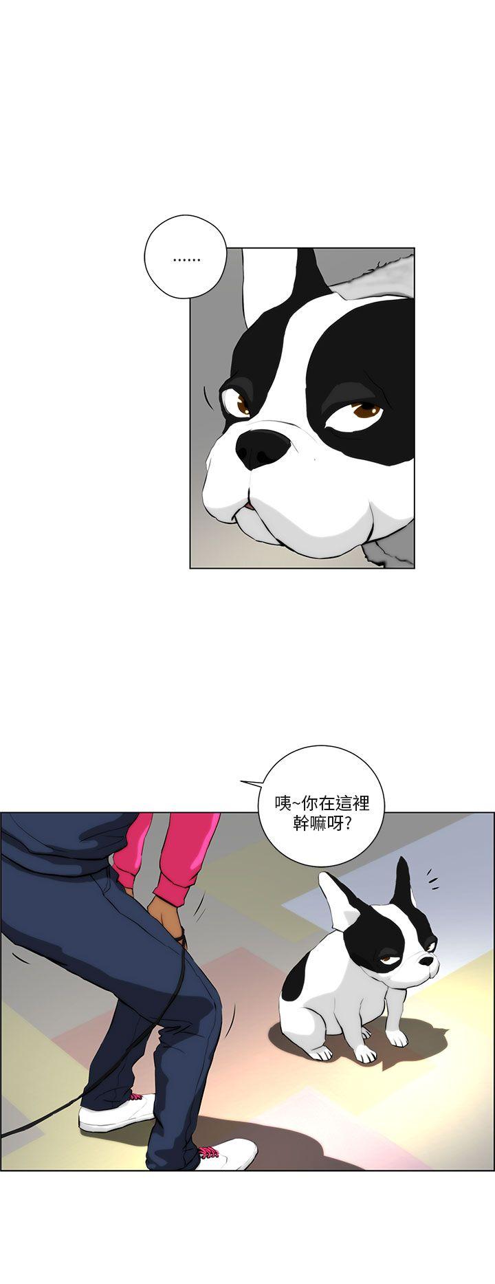 [韩国漫画] 变成狗的男人 剧情,巨乳大奶#[20P]-16