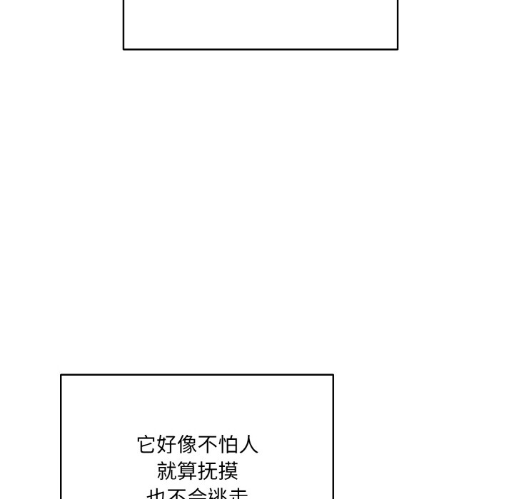 [韩国漫画] 喵来的恋爱 剧情,女学生#[225P]-84