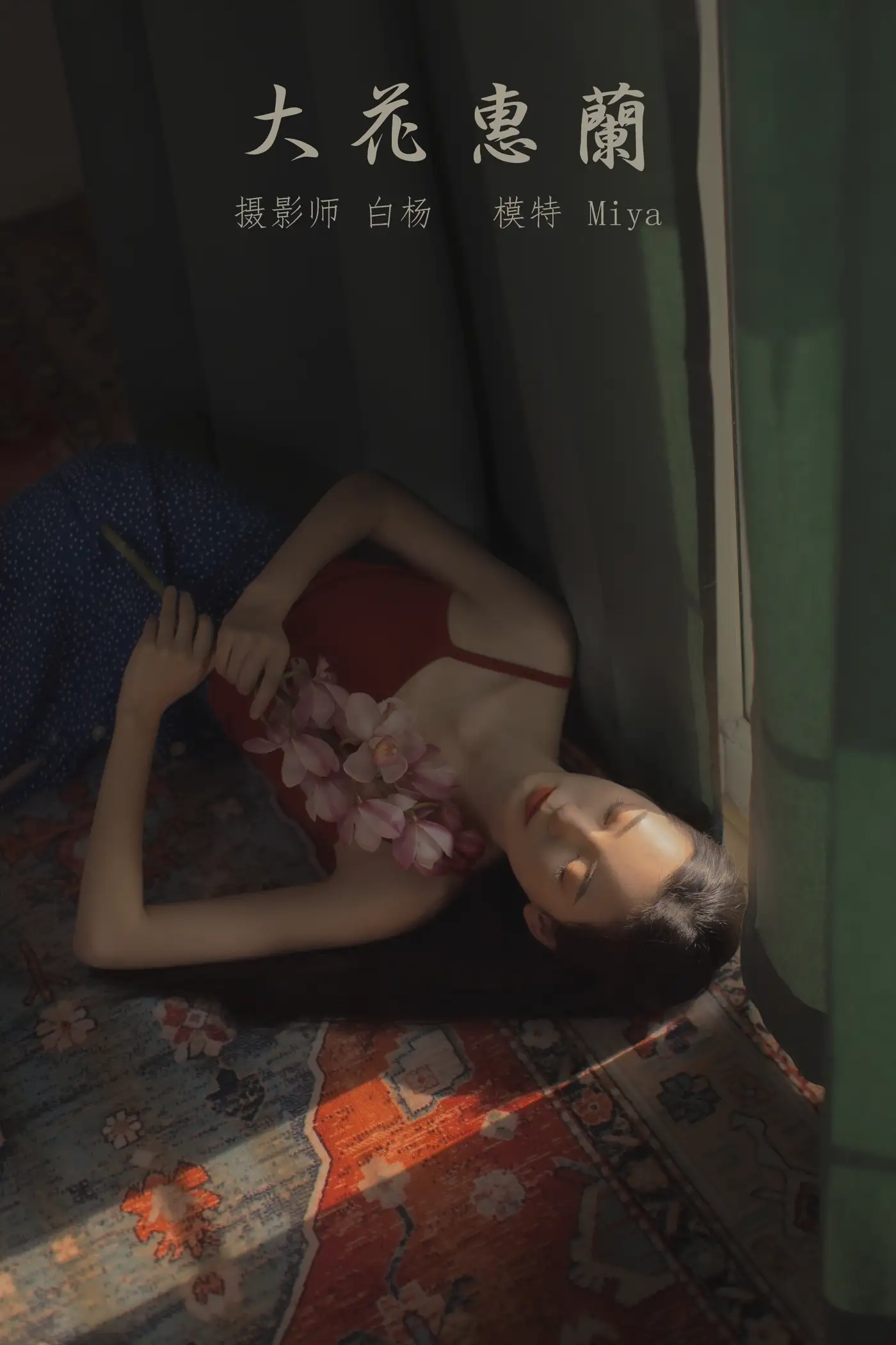 [艺图语] 2022.01.03 Vol.573 – 大花蕙兰 Miya怡君