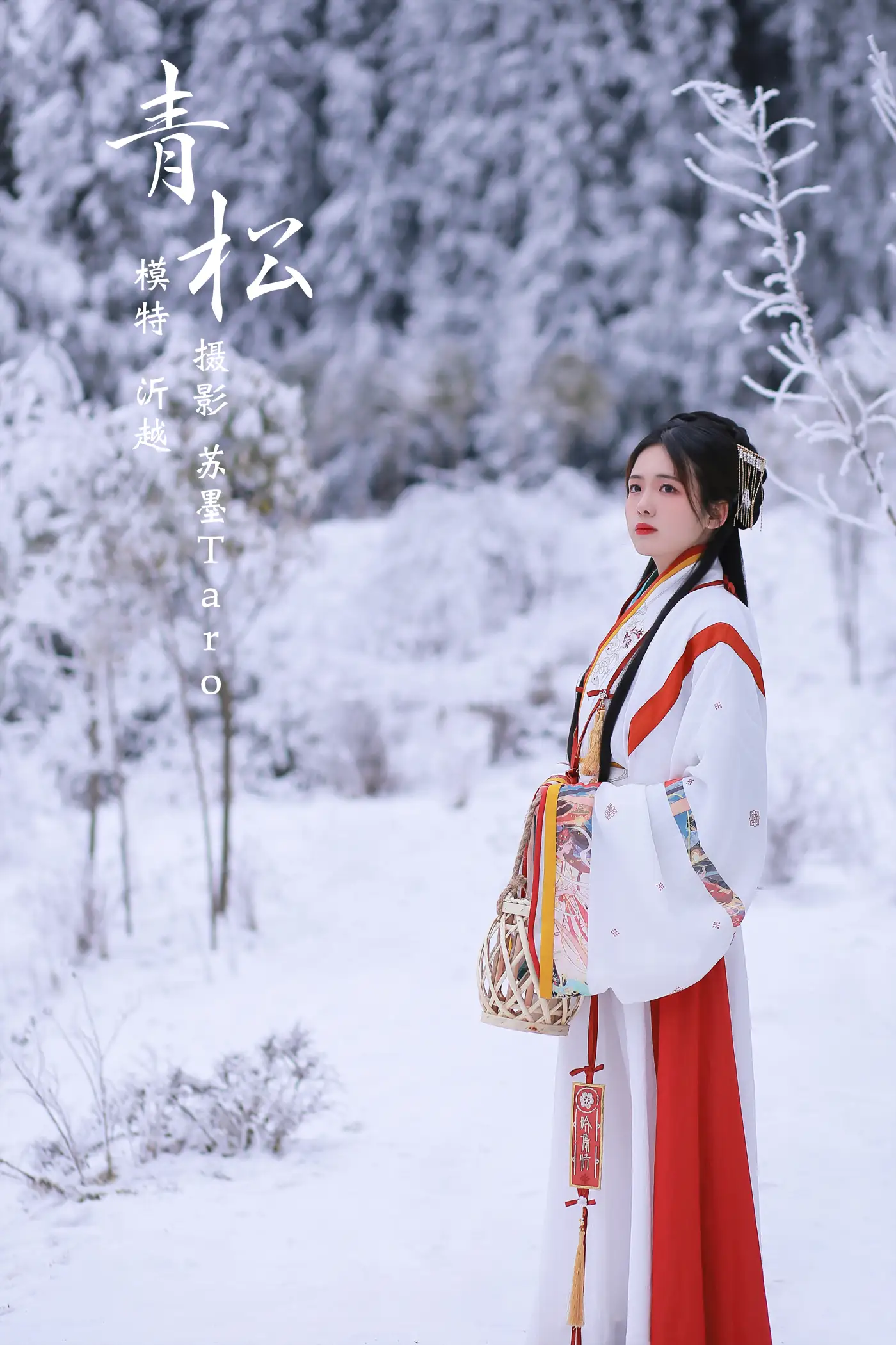 [艺图语] 2021.11.20 Vol.460 – 青松 沂越