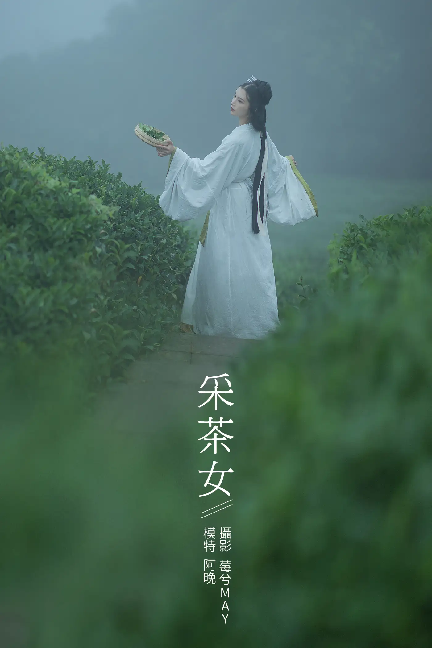 [艺图语] 2021.12.02 Vol.481 – 采茶女 十八重川
