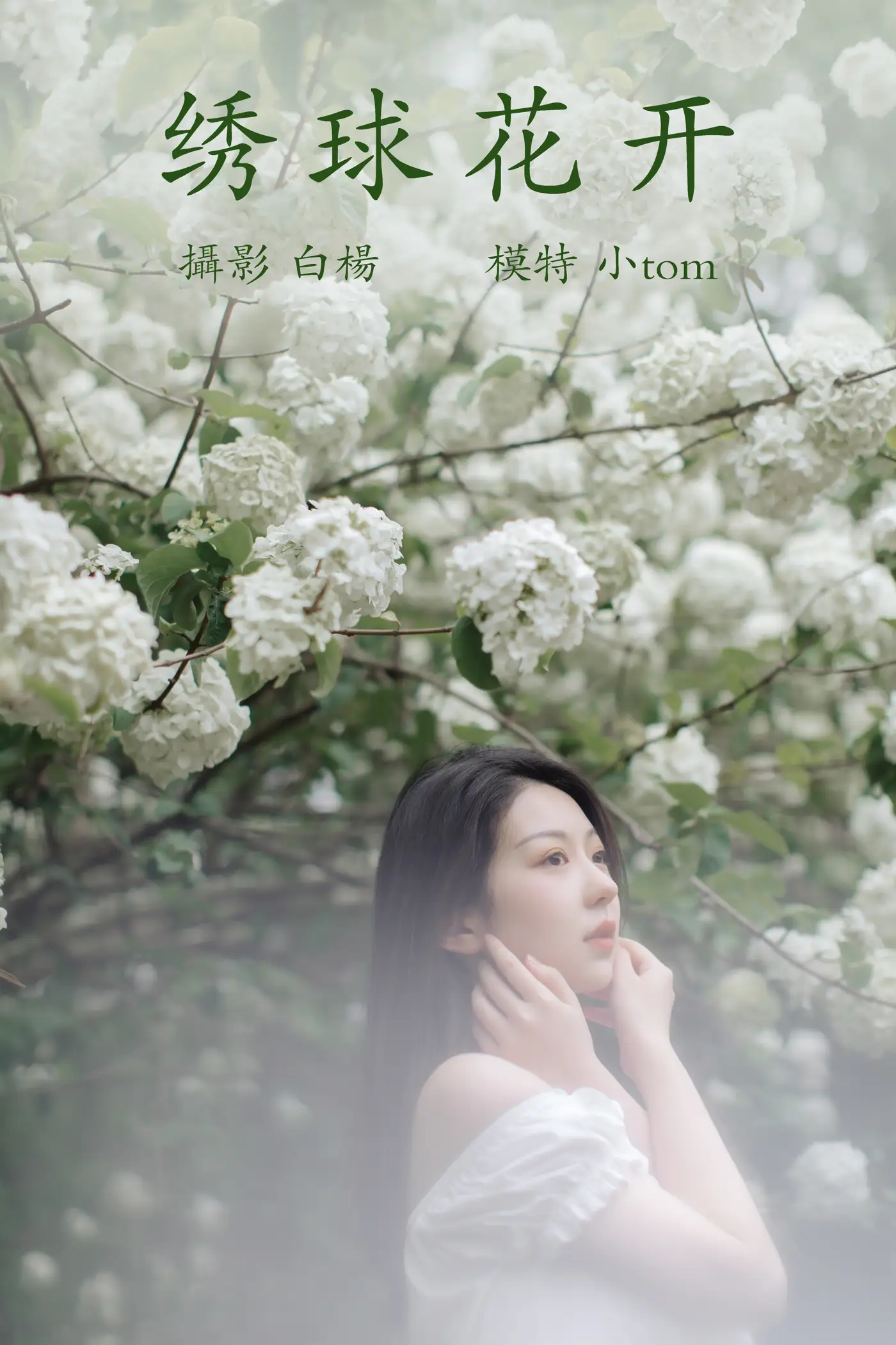 [艺图语] 2021.12.31 Vol.565 – 绣球花开 小tom