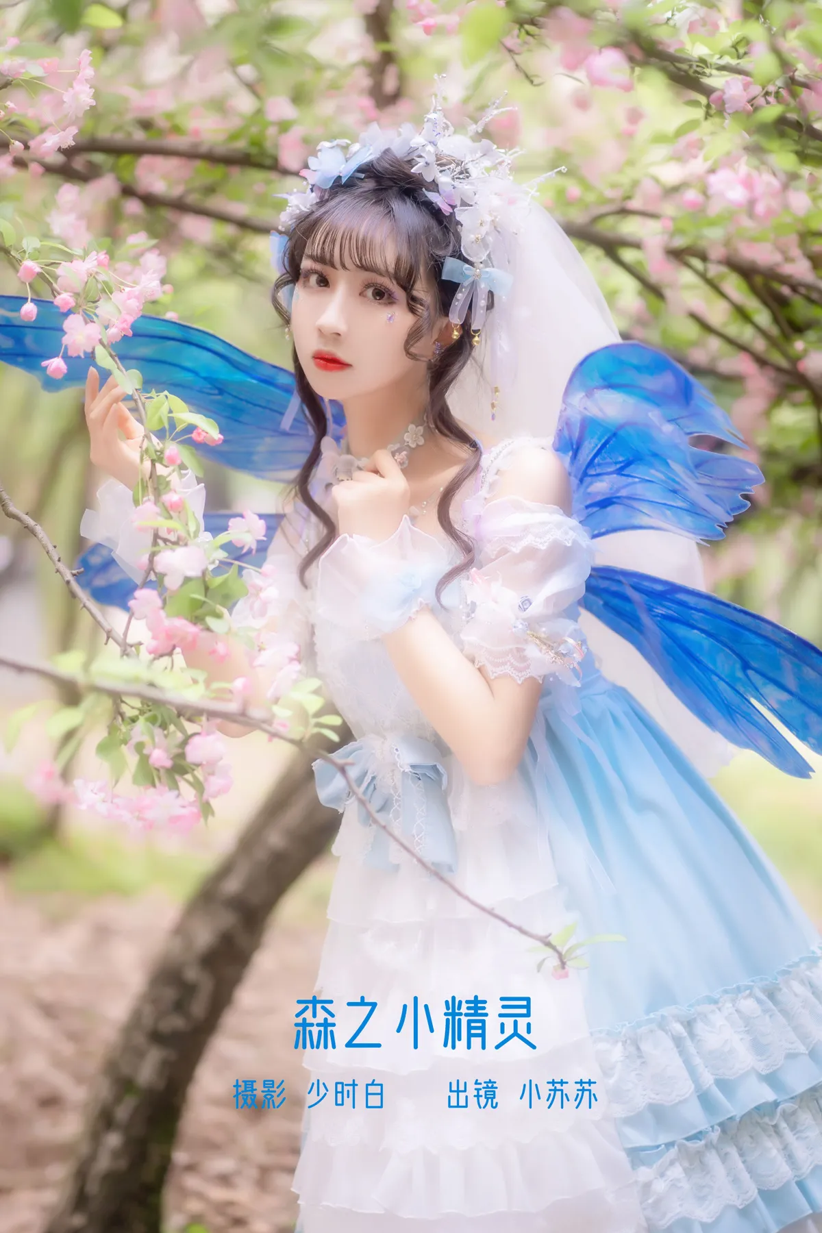 2022.12.13 Vol.2670 – 森之小精灵