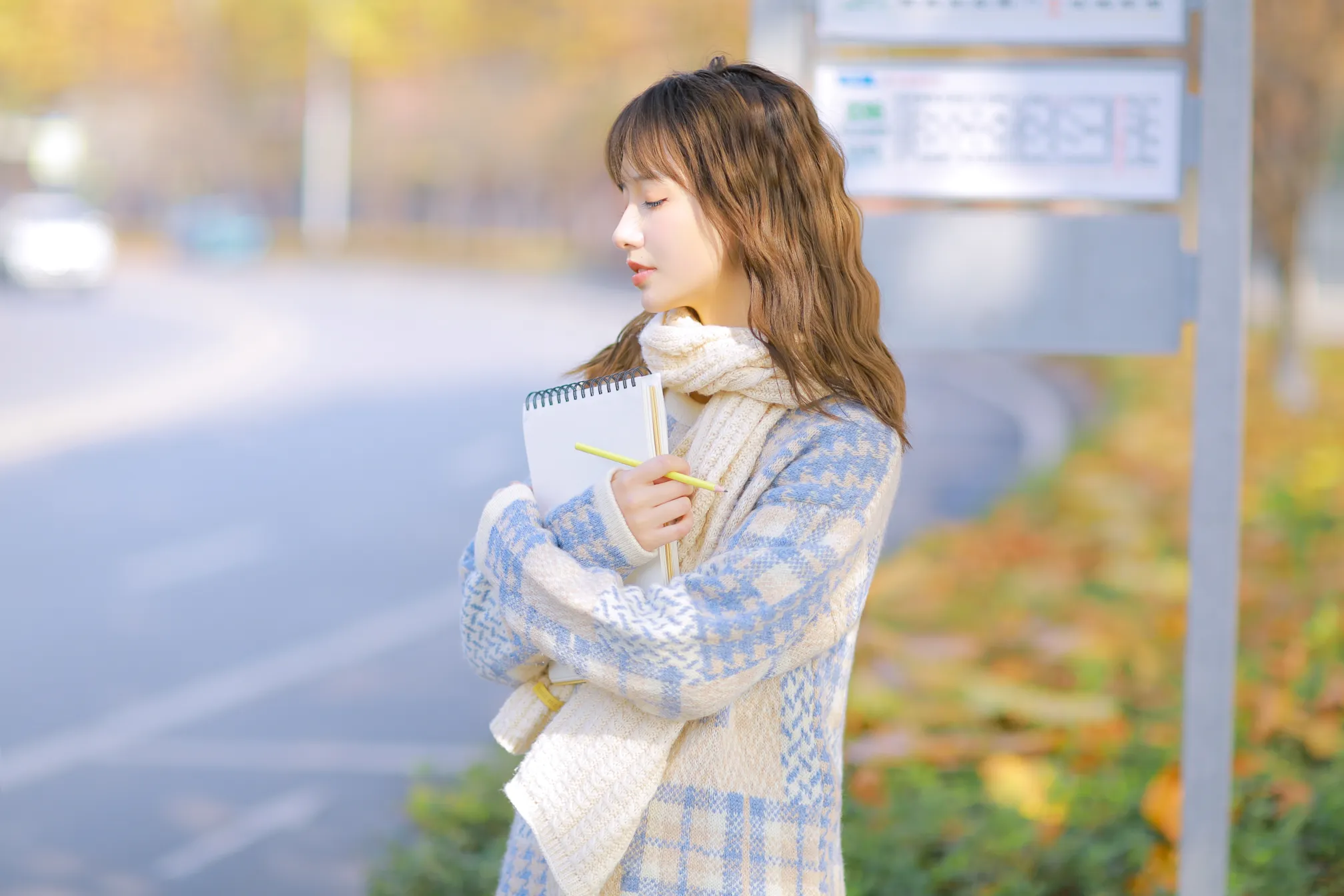 [艺图语] 2022.12.08 Vol.2630 – 秋日物语 阳曦#[33P]-3