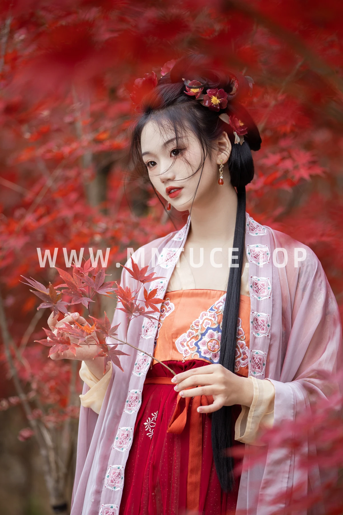 [艺图语] 2023.02.07 Vol.2994 晚枫歌 晚江亭#[34P]-1