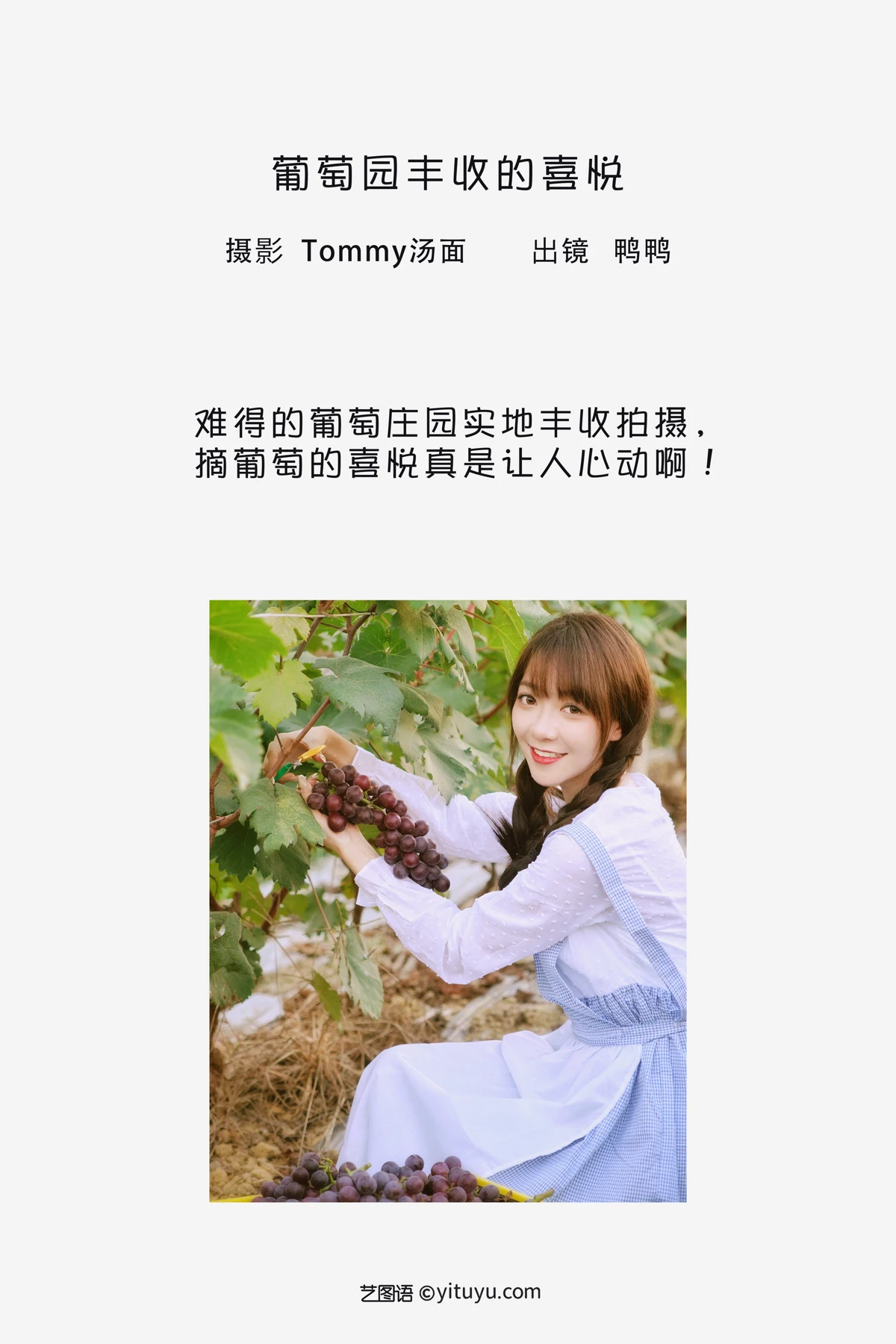 [艺图语] 2023.02.04 Vol.2969 葡萄园丰收的喜悦 鸭鸭#[24P]-2