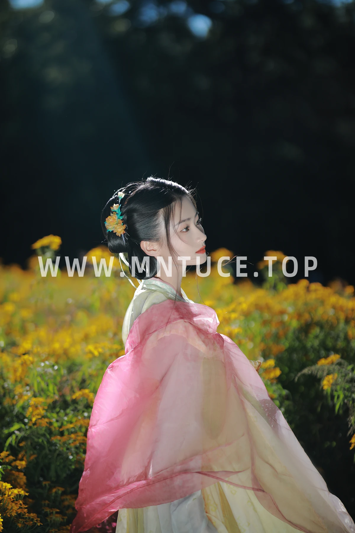 [艺图语] 2022.12.31 Vol.2804 – 我曾是一朵花 Y#[33P]-23