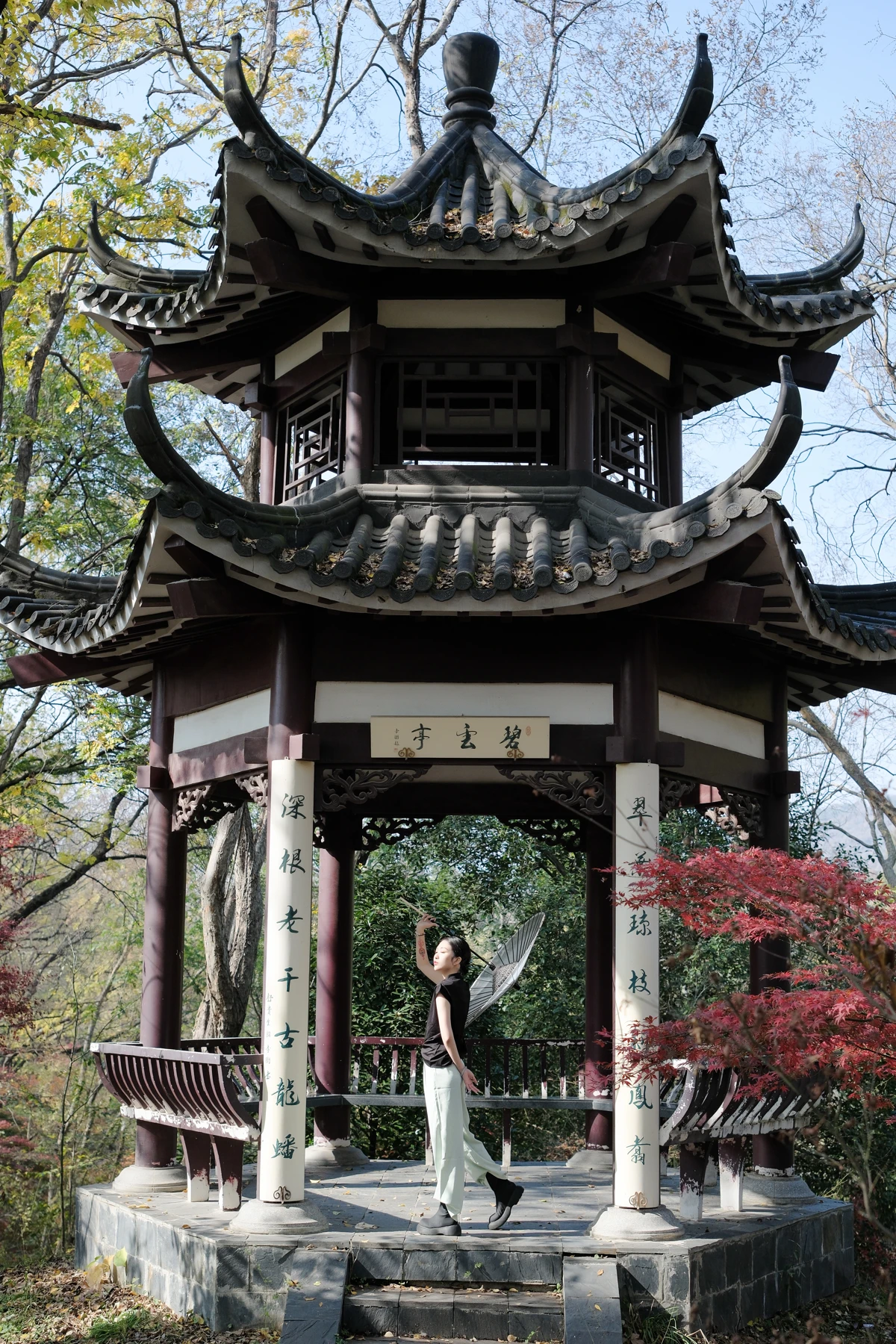 [艺图语] 2022.12.20 Vol.2720 – 一半山林 曹萌#[24P]-8