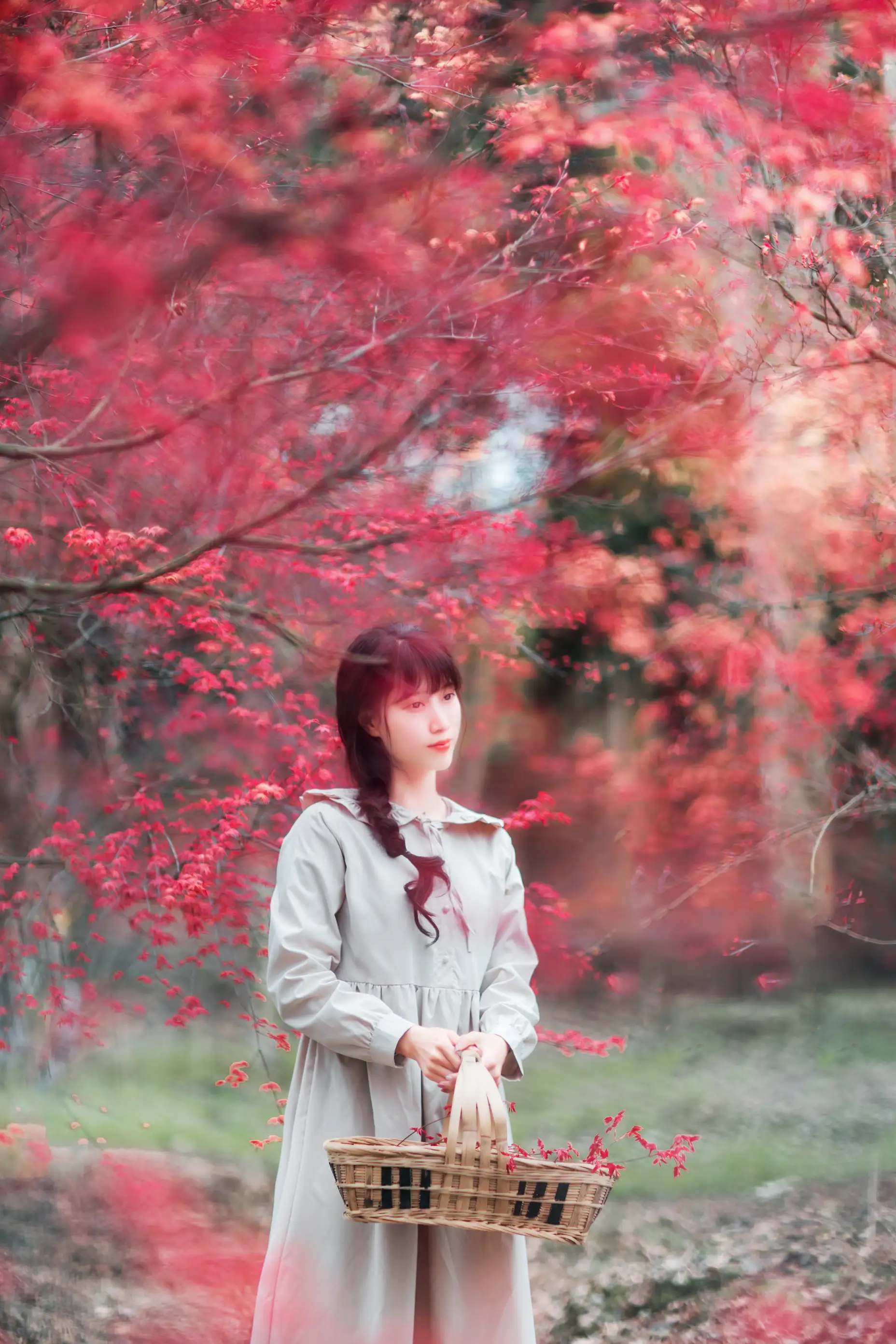 [艺图语] 2021.12.23 Vol.521 – 枫林春晓 初茶#[39P]-10