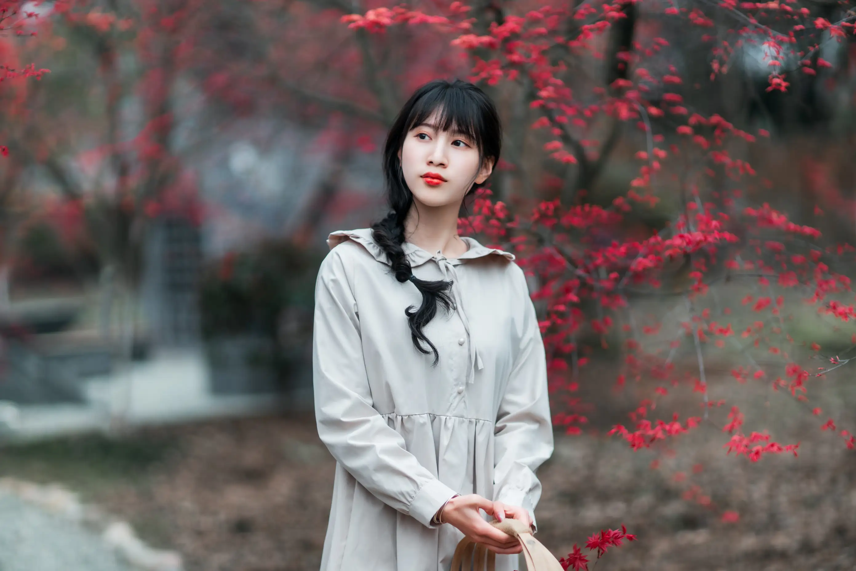 [艺图语] 2021.12.23 Vol.521 – 枫林春晓 初茶#[39P]-4