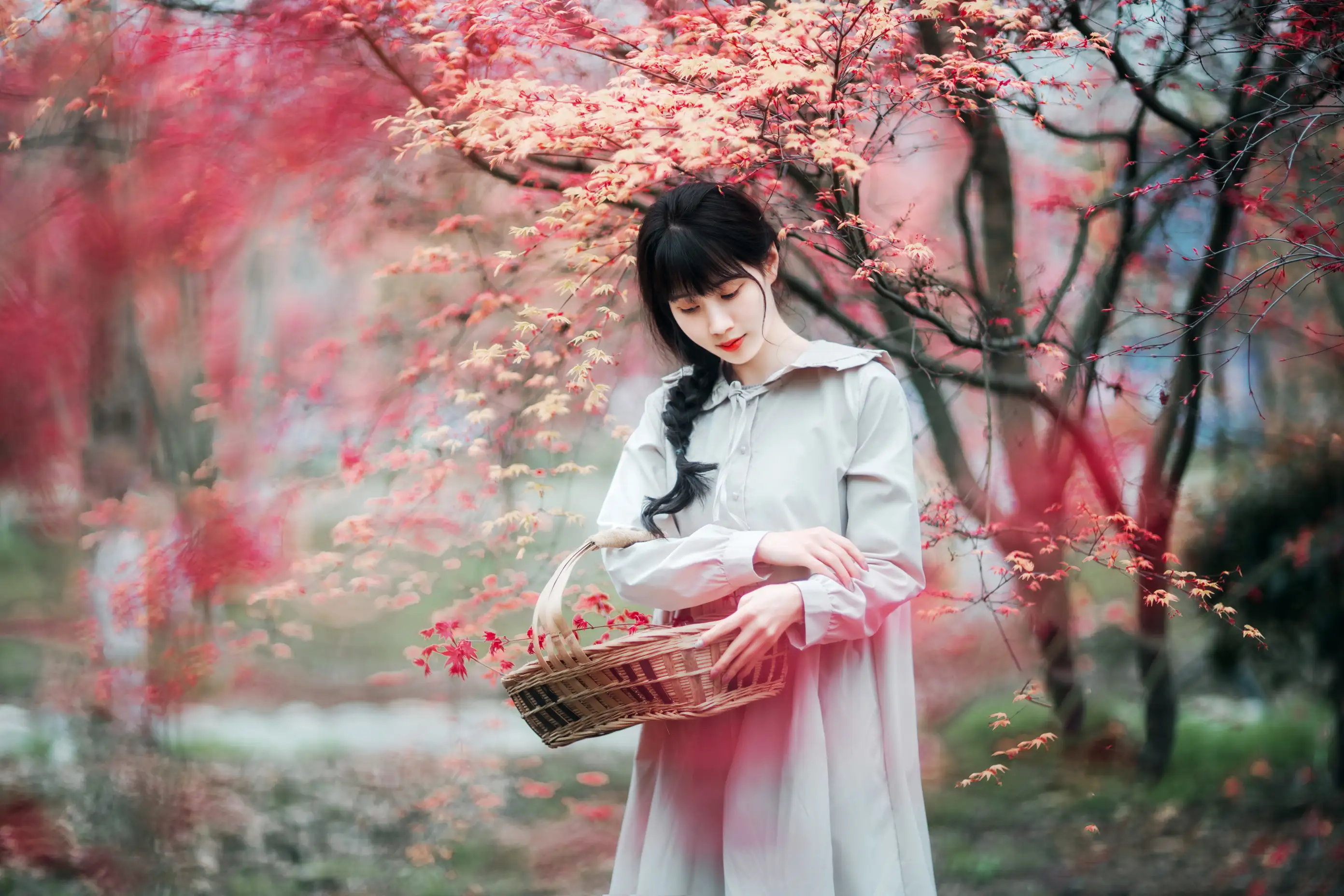 [艺图语] 2021.12.23 Vol.521 – 枫林春晓 初茶#[39P]-10