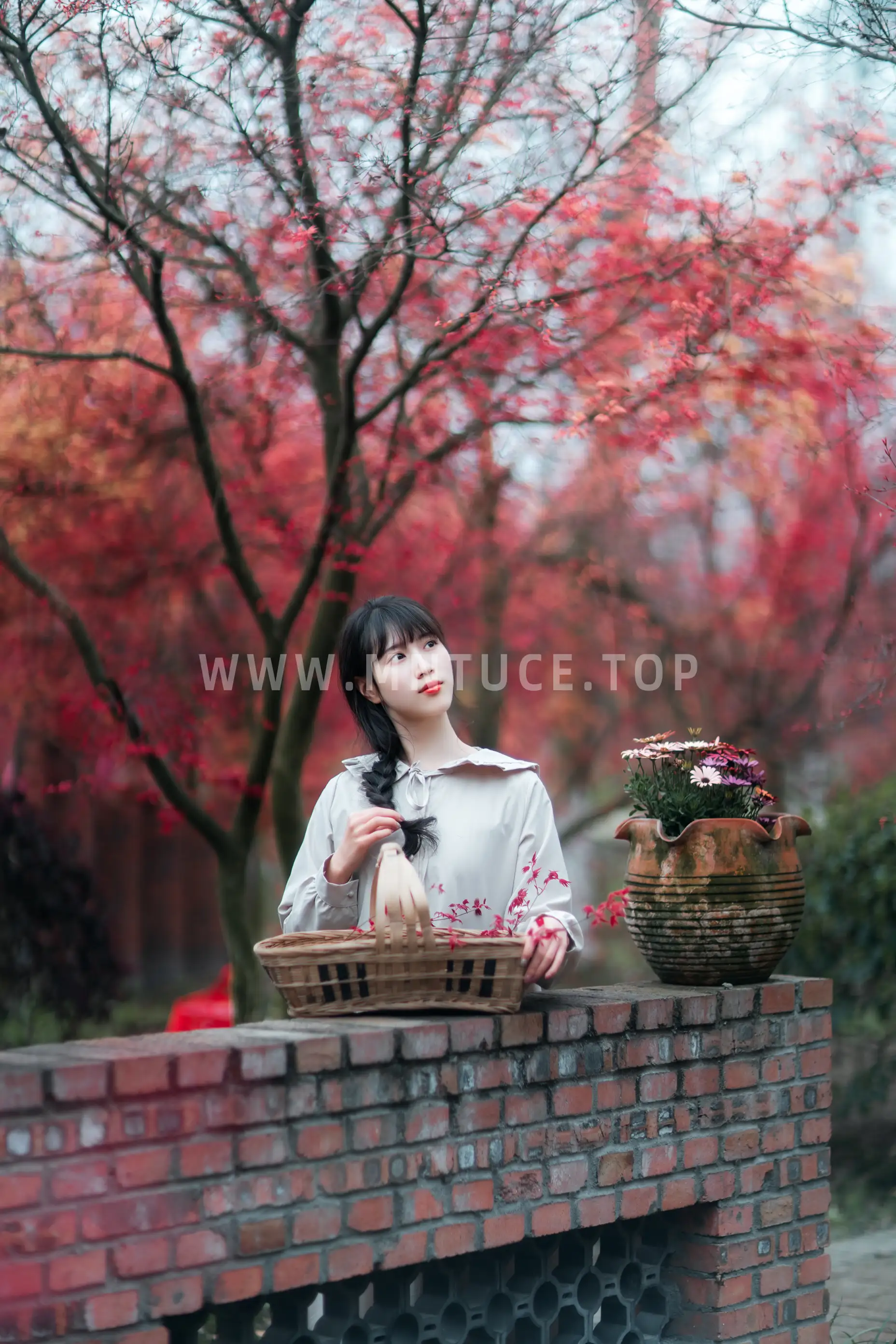[艺图语] 2021.12.23 Vol.521 – 枫林春晓 初茶#[39P]-8