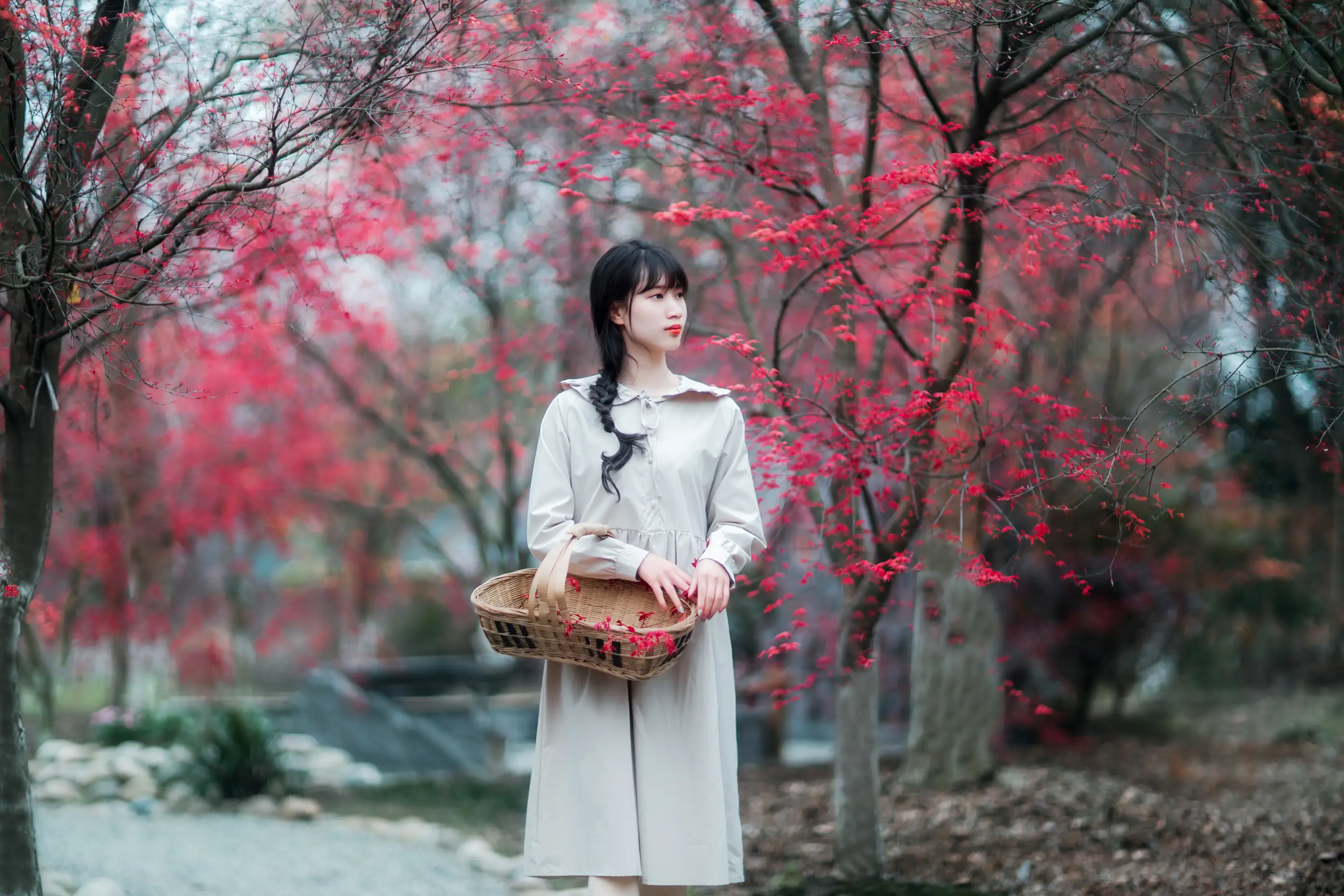 [艺图语] 2021.12.23 Vol.521 – 枫林春晓 初茶#[39P]-4