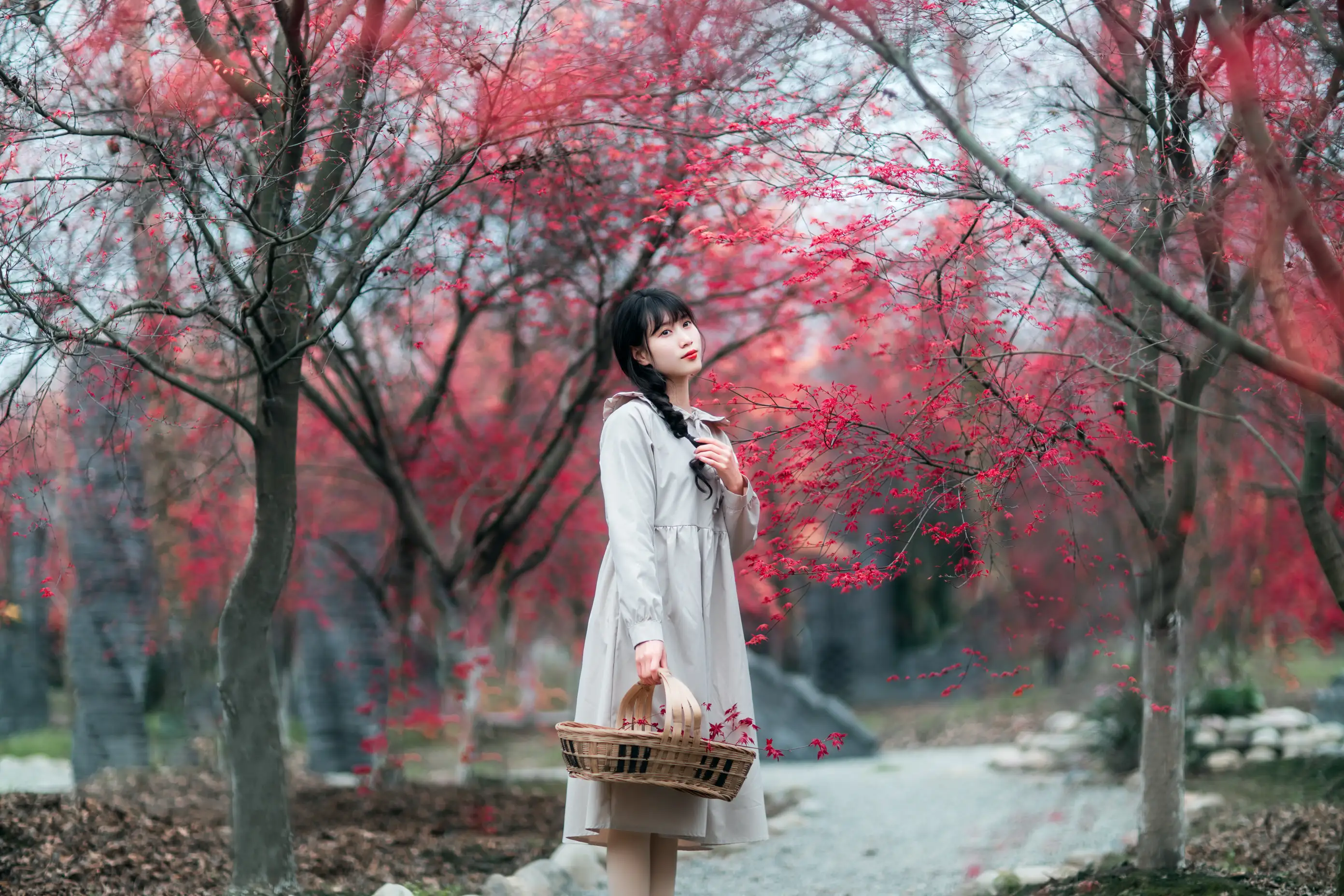 [艺图语] 2021.12.23 Vol.521 – 枫林春晓 初茶#[39P]-8