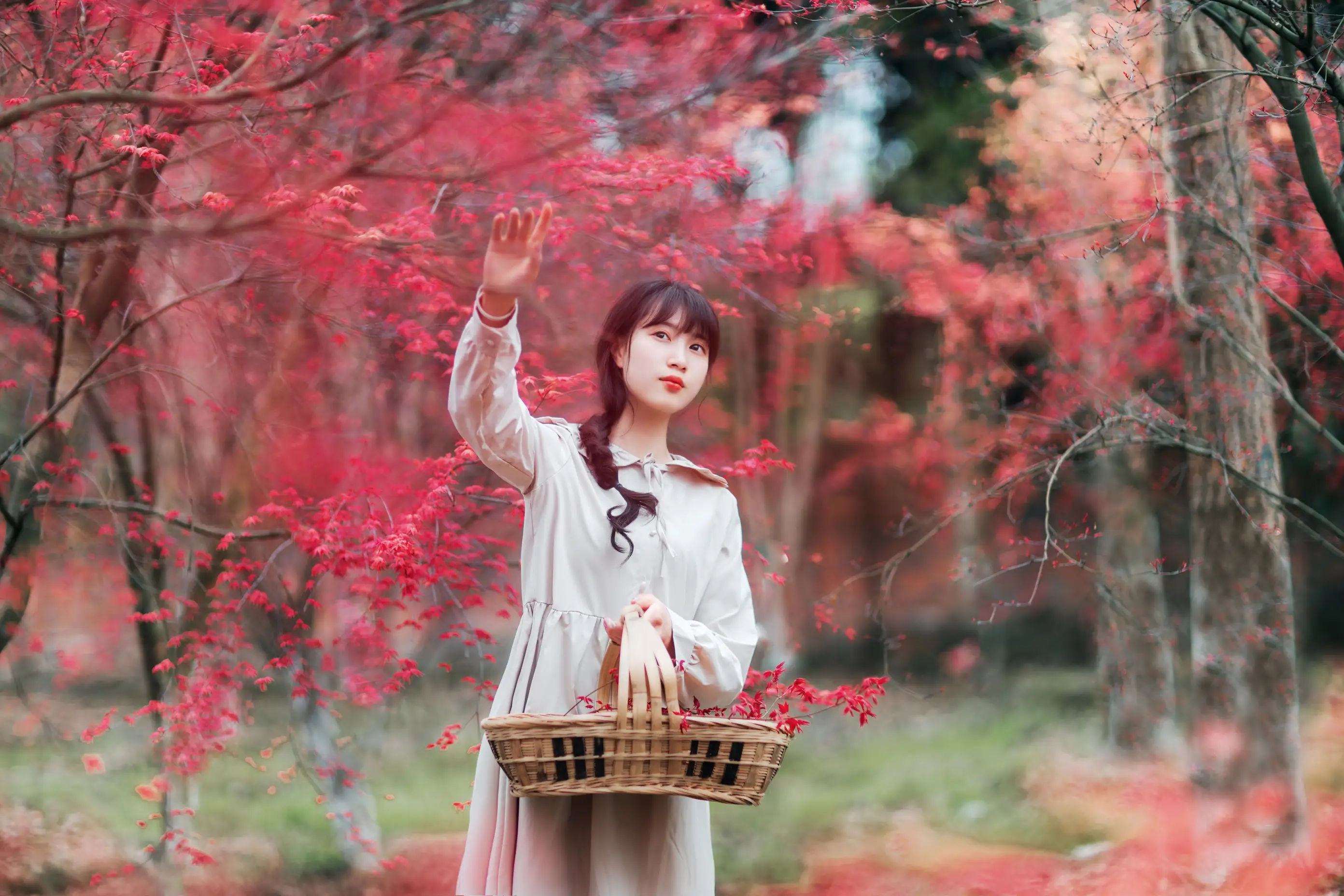 [艺图语] 2021.12.23 Vol.521 – 枫林春晓 初茶#[39P]-9