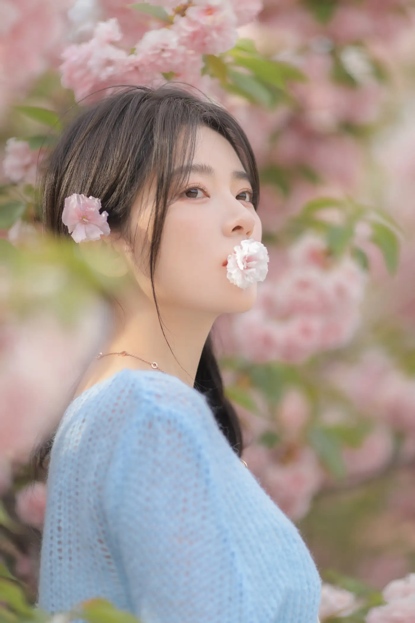 [艺图语] 2022.06.22 Vol.1252 – 粉蓝晚樱 杨伊墨#[29P]-11