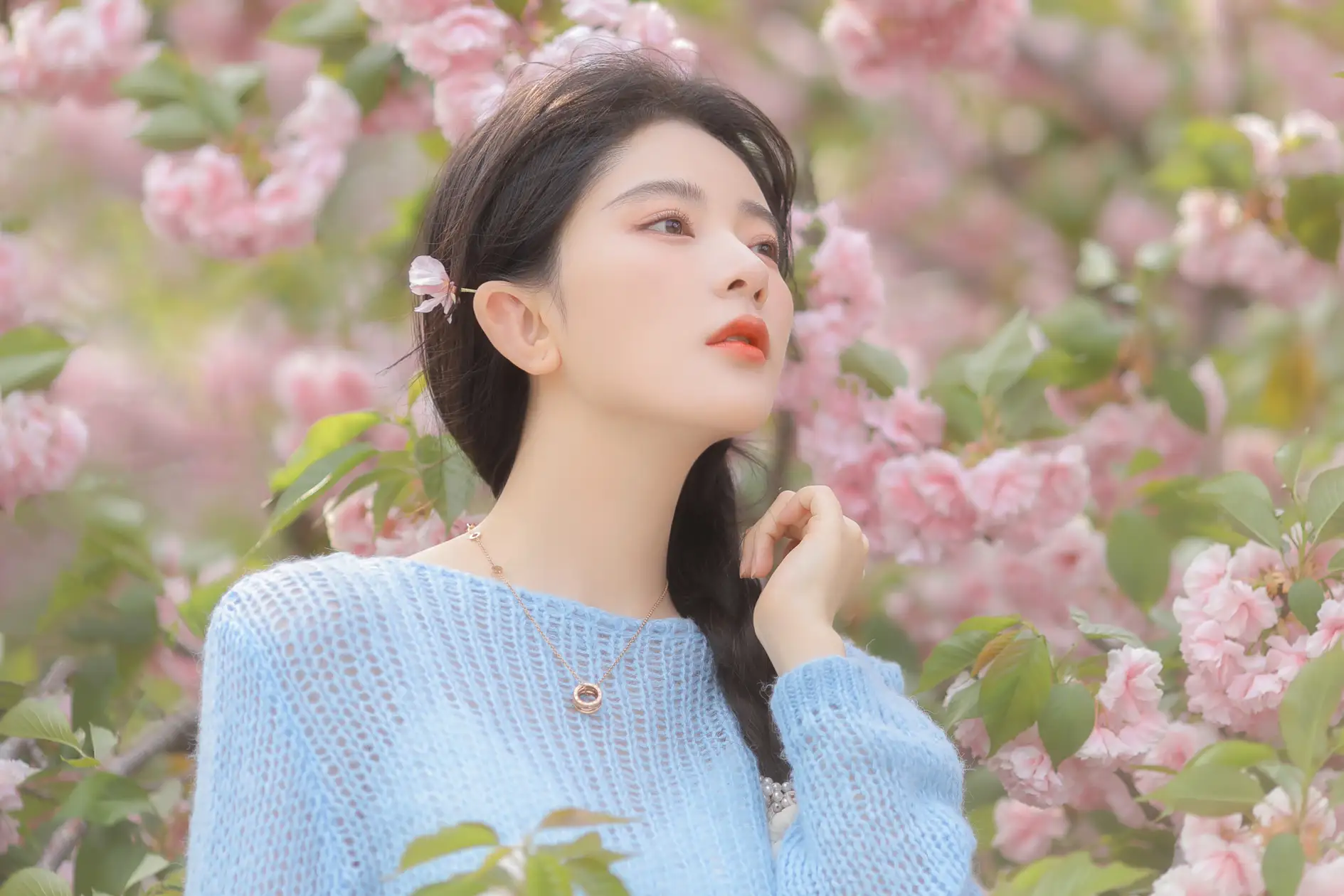 [艺图语] 2022.06.22 Vol.1252 – 粉蓝晚樱 杨伊墨#[29P]-29