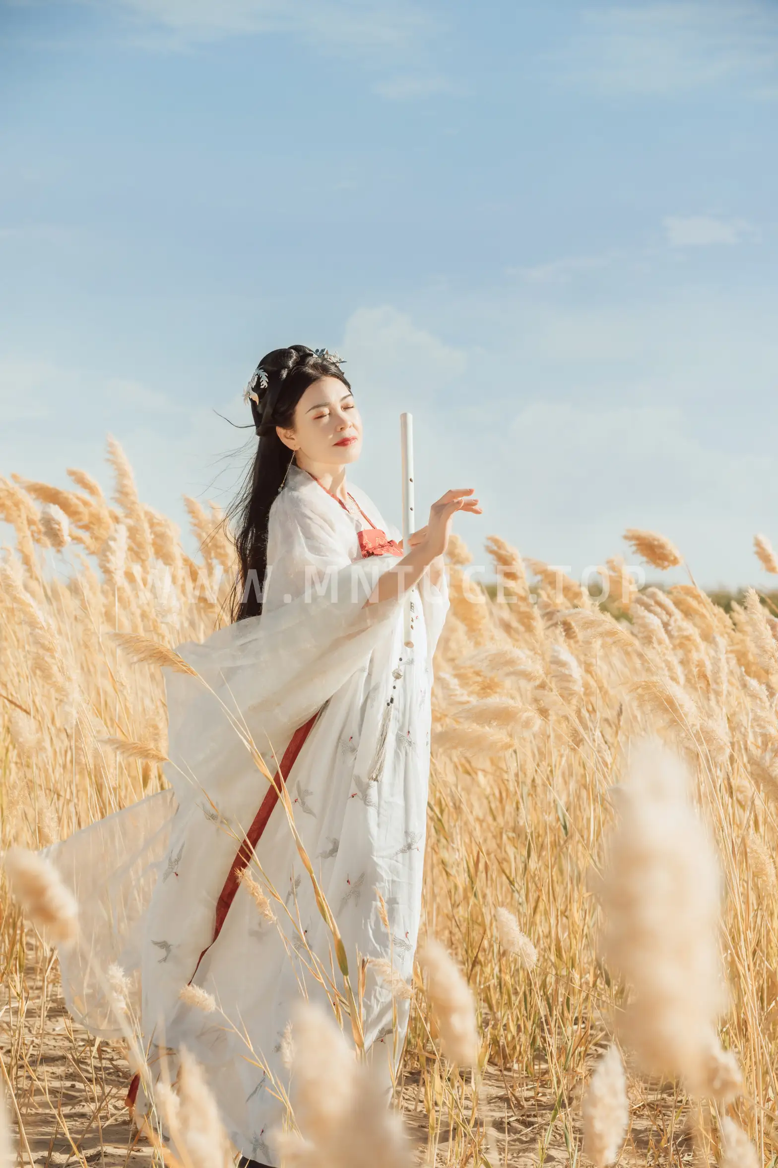 [艺图语] 2021.08.31 Vol.197 – 吹梦到西洲 薄菏#[30P]-18