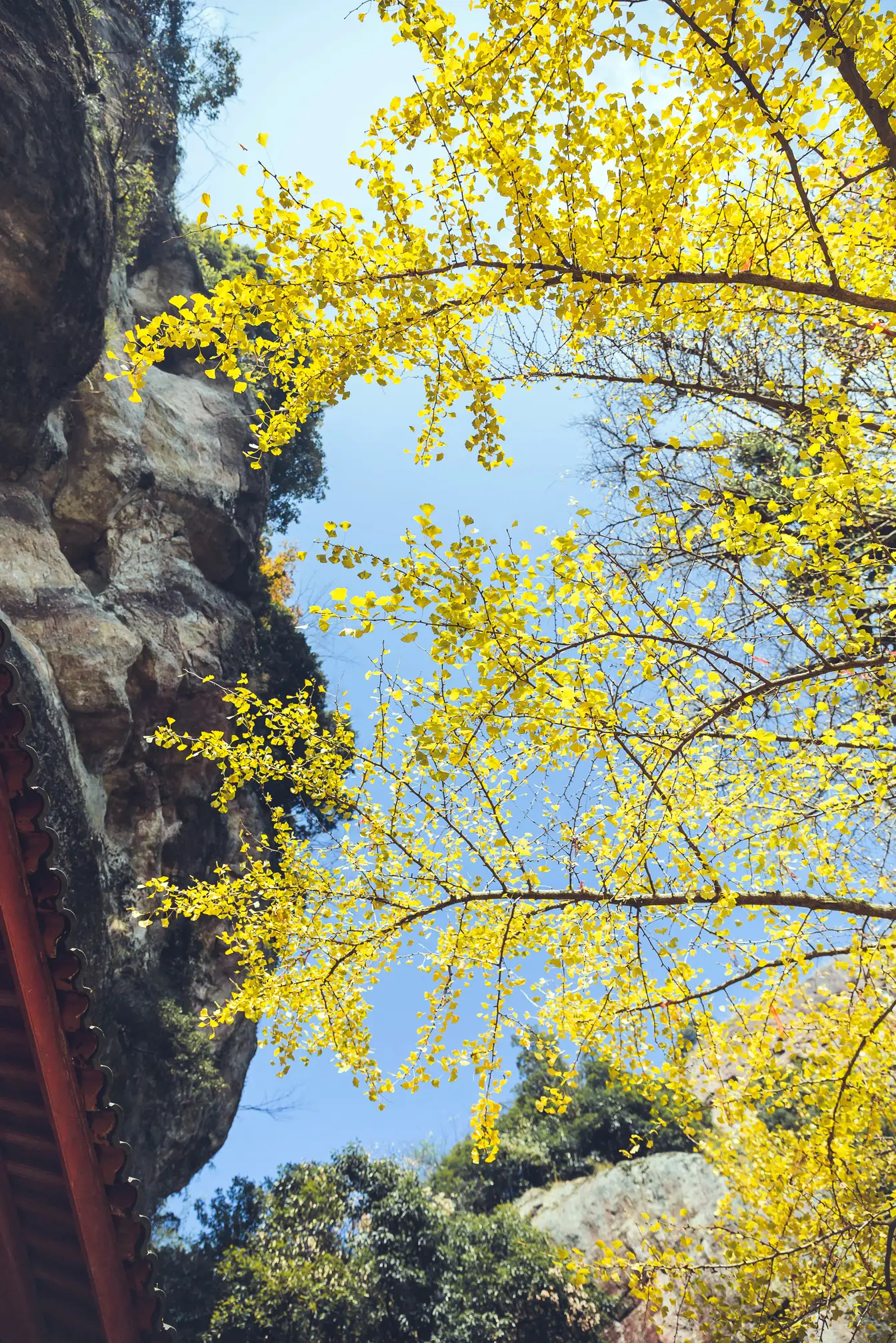 [艺图语] 2022.01.05 Vol.596 – 侠女 毛娅绮#[44P]-5