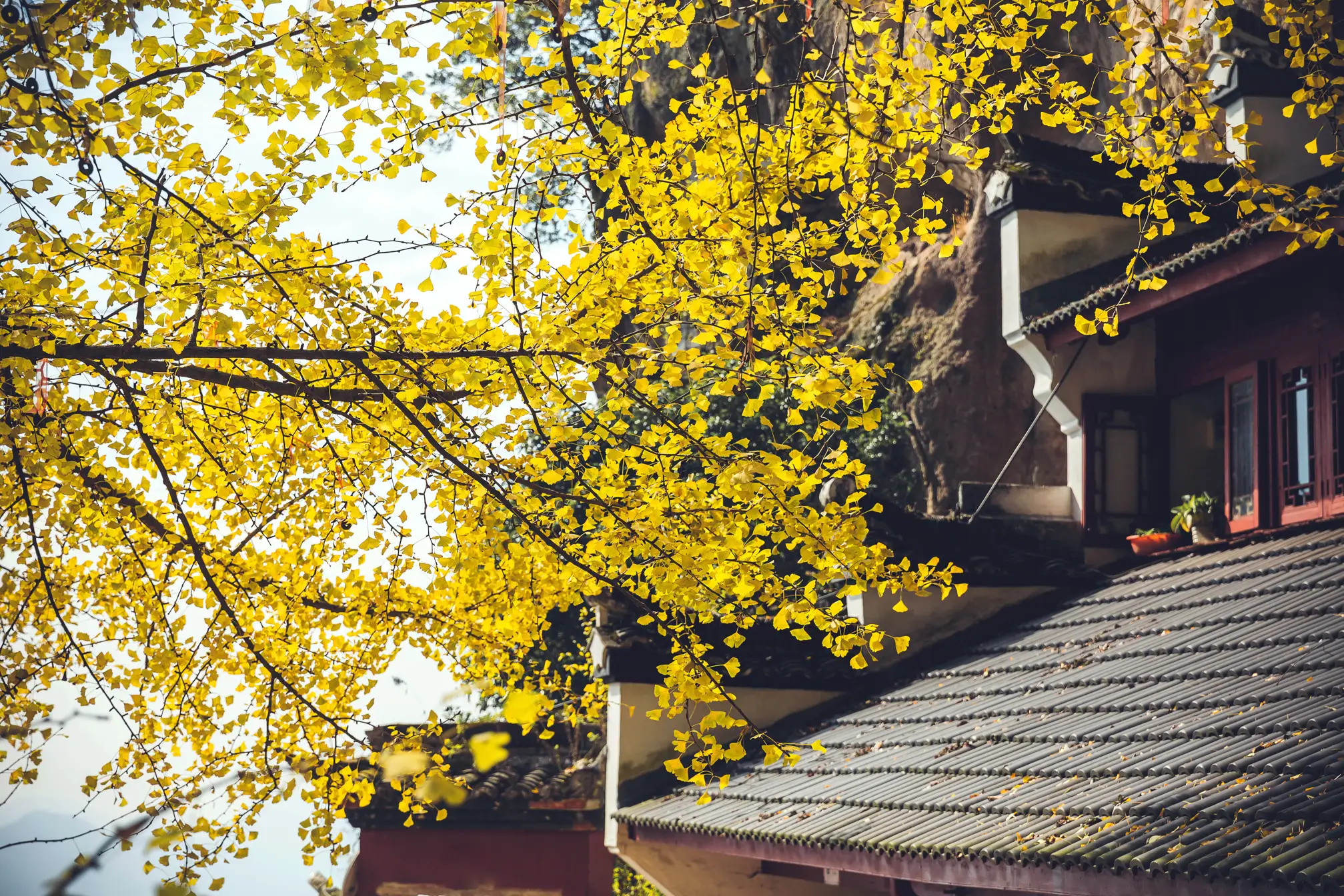 [艺图语] 2022.01.05 Vol.596 – 侠女 毛娅绮#[44P]-8