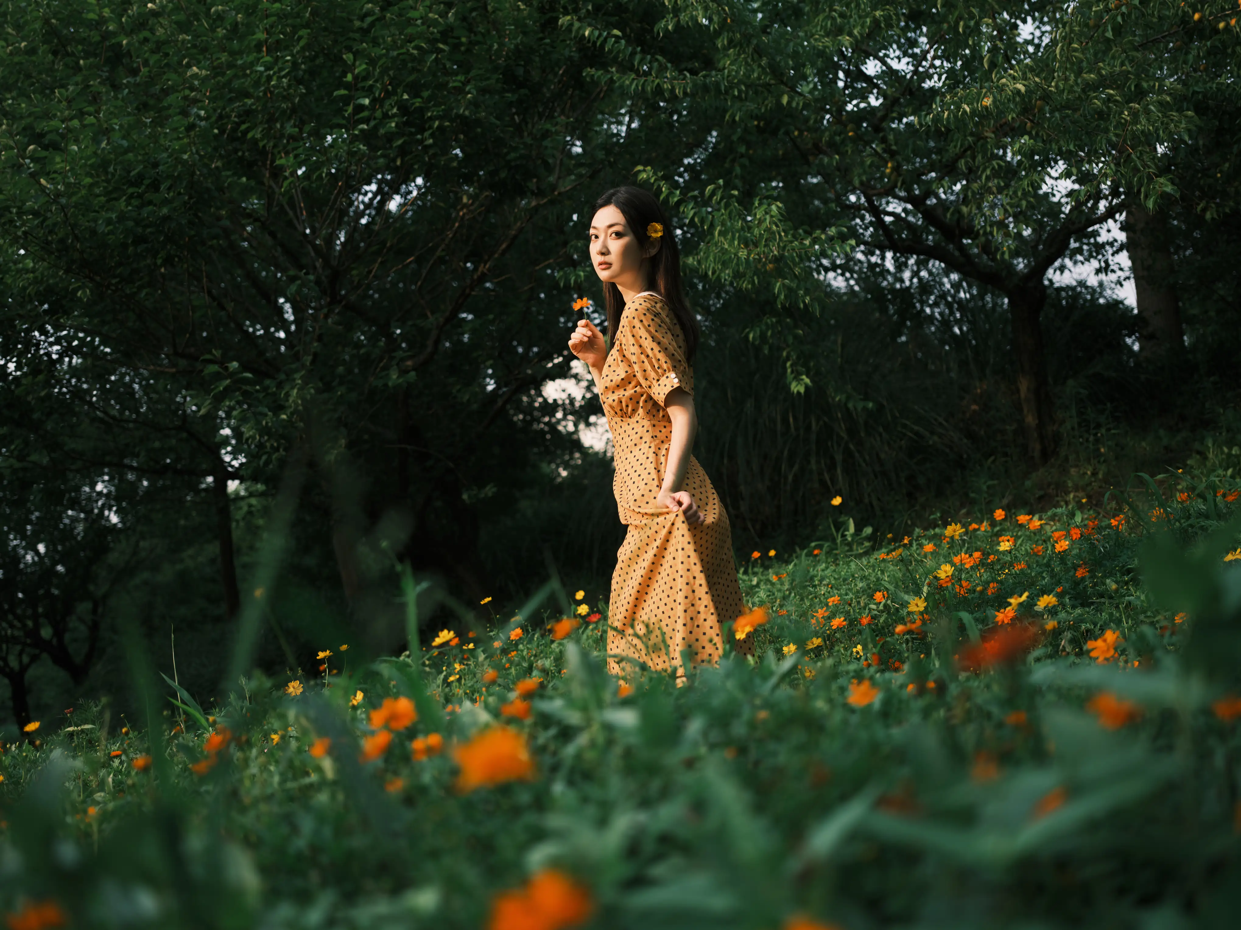 [艺图语] 2022.08.08 Vol.1654 – 硫华菊&柳叶马鞭草-是夏天的味道呀！ 飞鸟咕咕-#[44P]-1