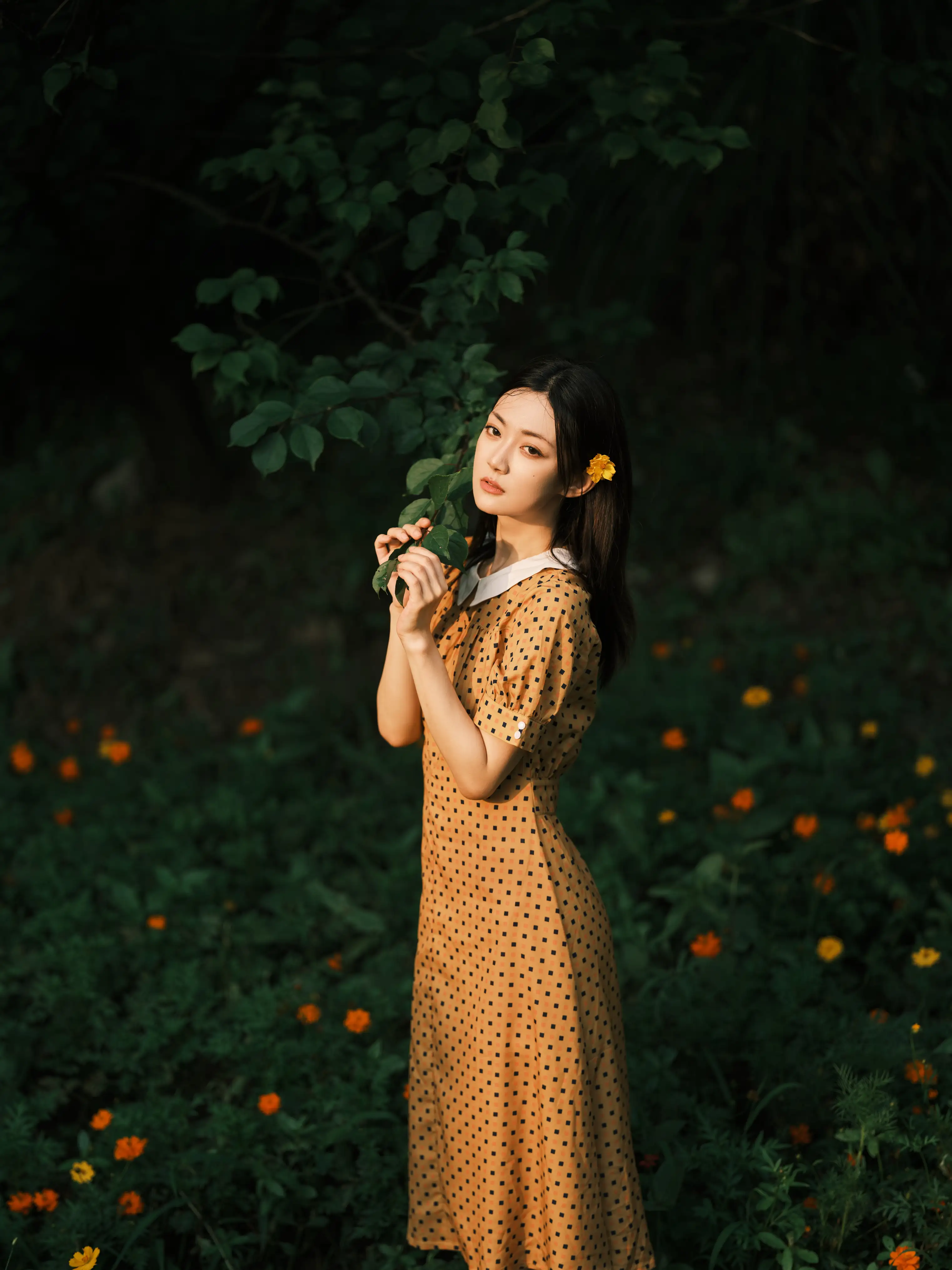 [艺图语] 2022.08.08 Vol.1654 – 硫华菊&柳叶马鞭草-是夏天的味道呀！ 飞鸟咕咕-#[44P]-5