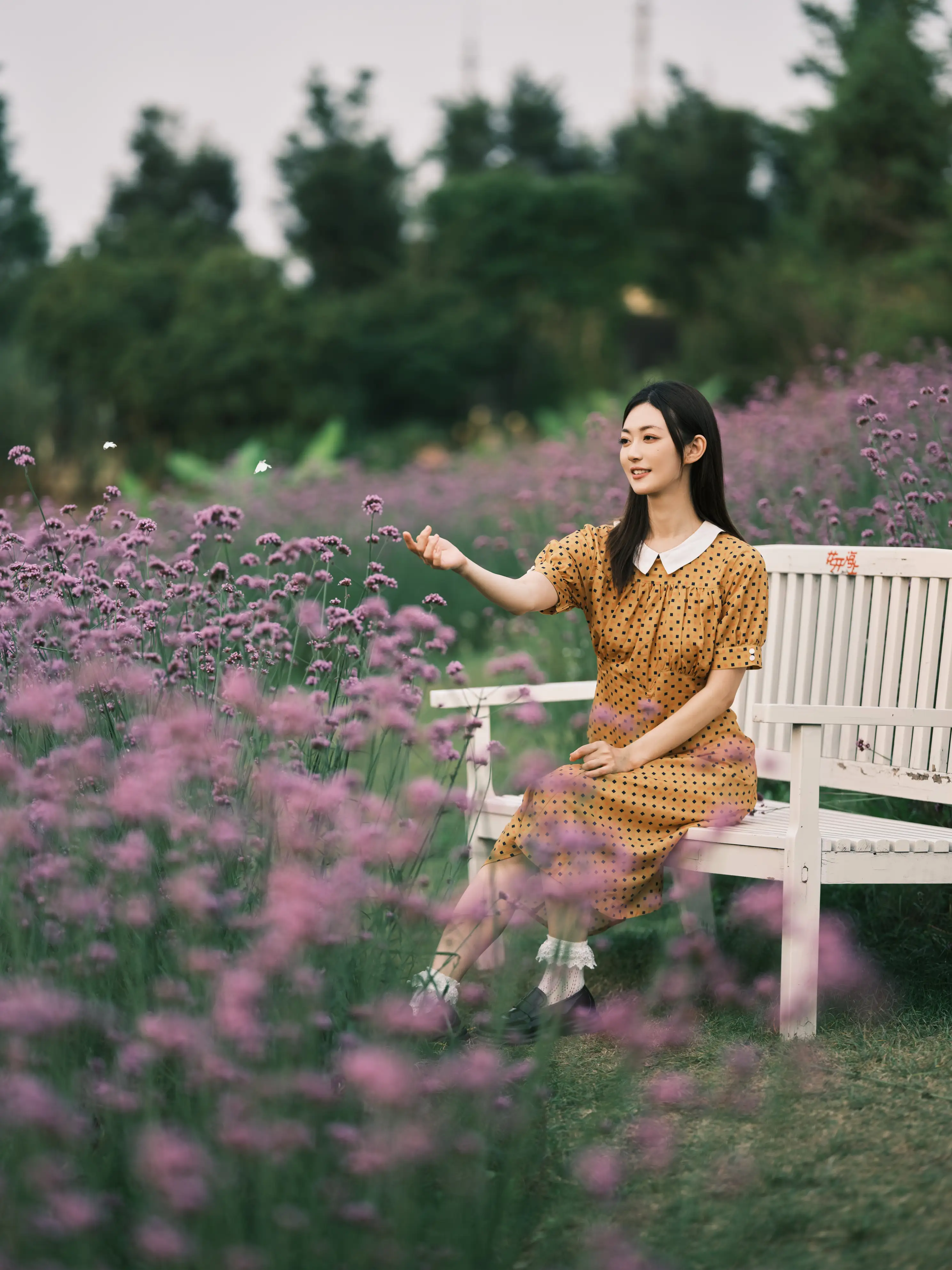 [艺图语] 2022.08.08 Vol.1654 – 硫华菊&柳叶马鞭草-是夏天的味道呀！ 飞鸟咕咕-#[44P]-1