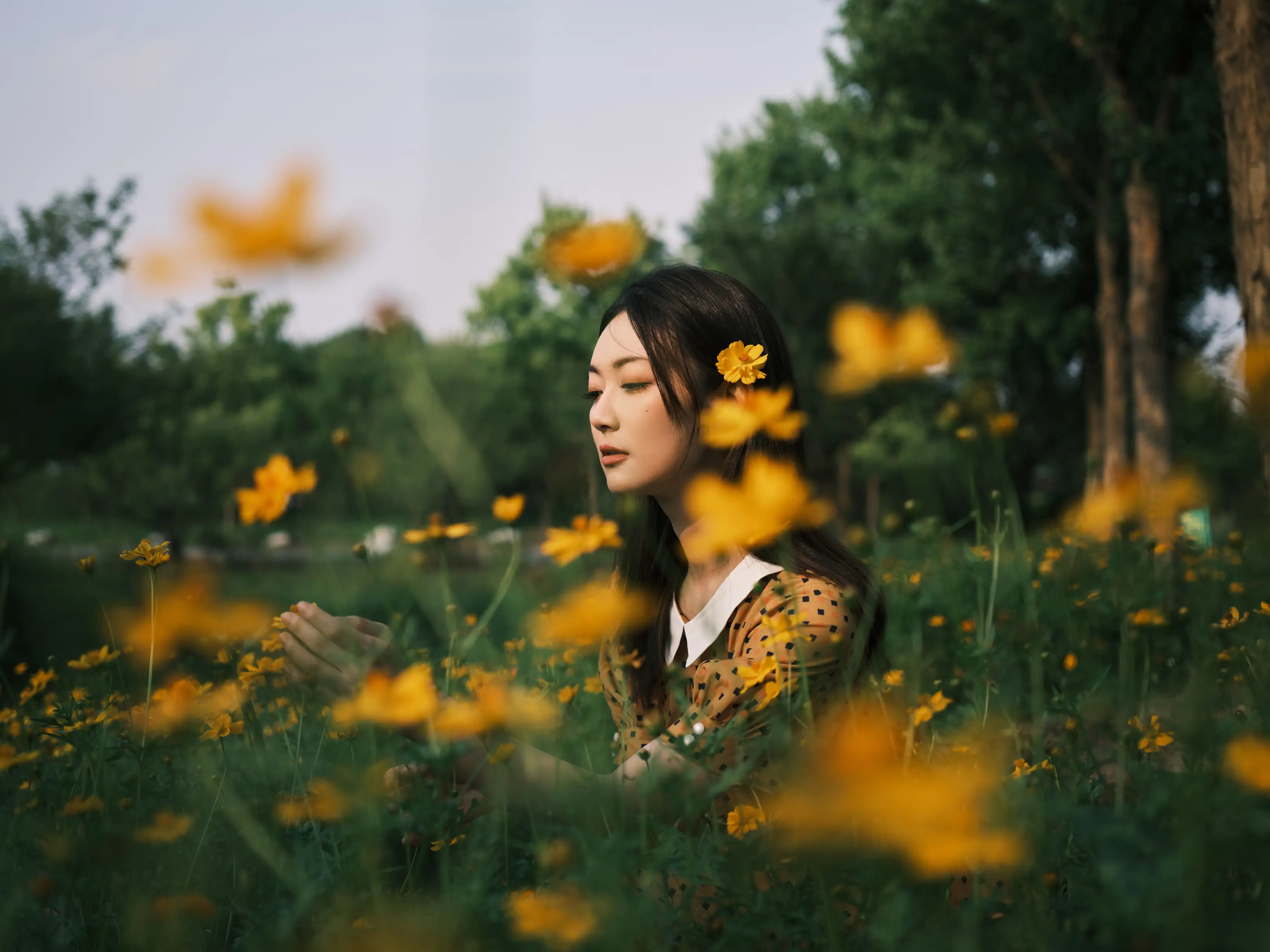 [艺图语] 2022.08.08 Vol.1654 – 硫华菊&柳叶马鞭草-是夏天的味道呀！ 飞鸟咕咕-#[44P]-1