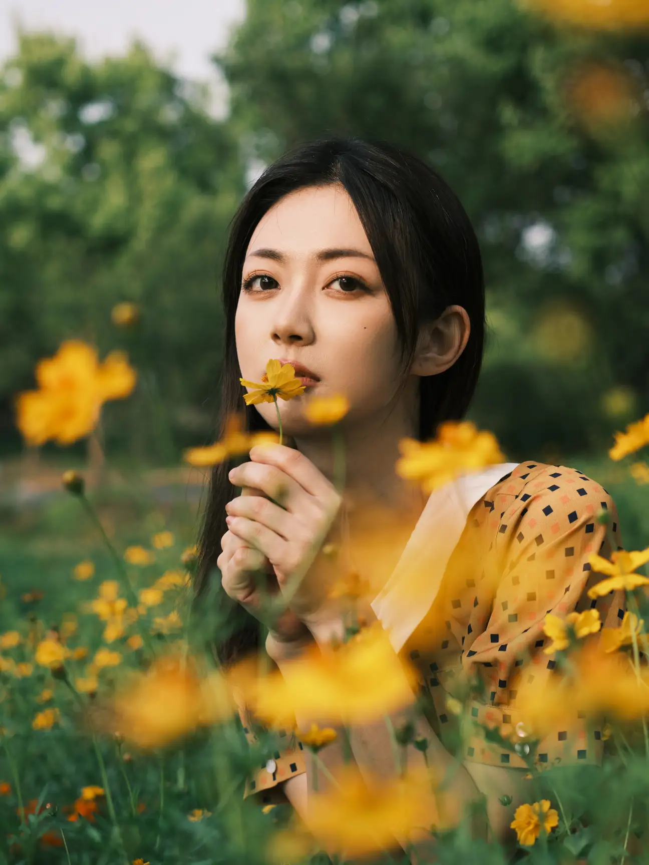 [艺图语] 2022.08.08 Vol.1654 – 硫华菊&柳叶马鞭草-是夏天的味道呀！ 飞鸟咕咕-#[44P]-4