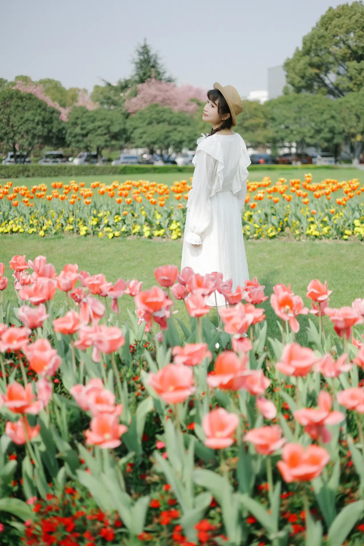 [艺图语] 2022.09.10 Vol.1920 – 郁金香花开 蓝胖子-#[28P]-11