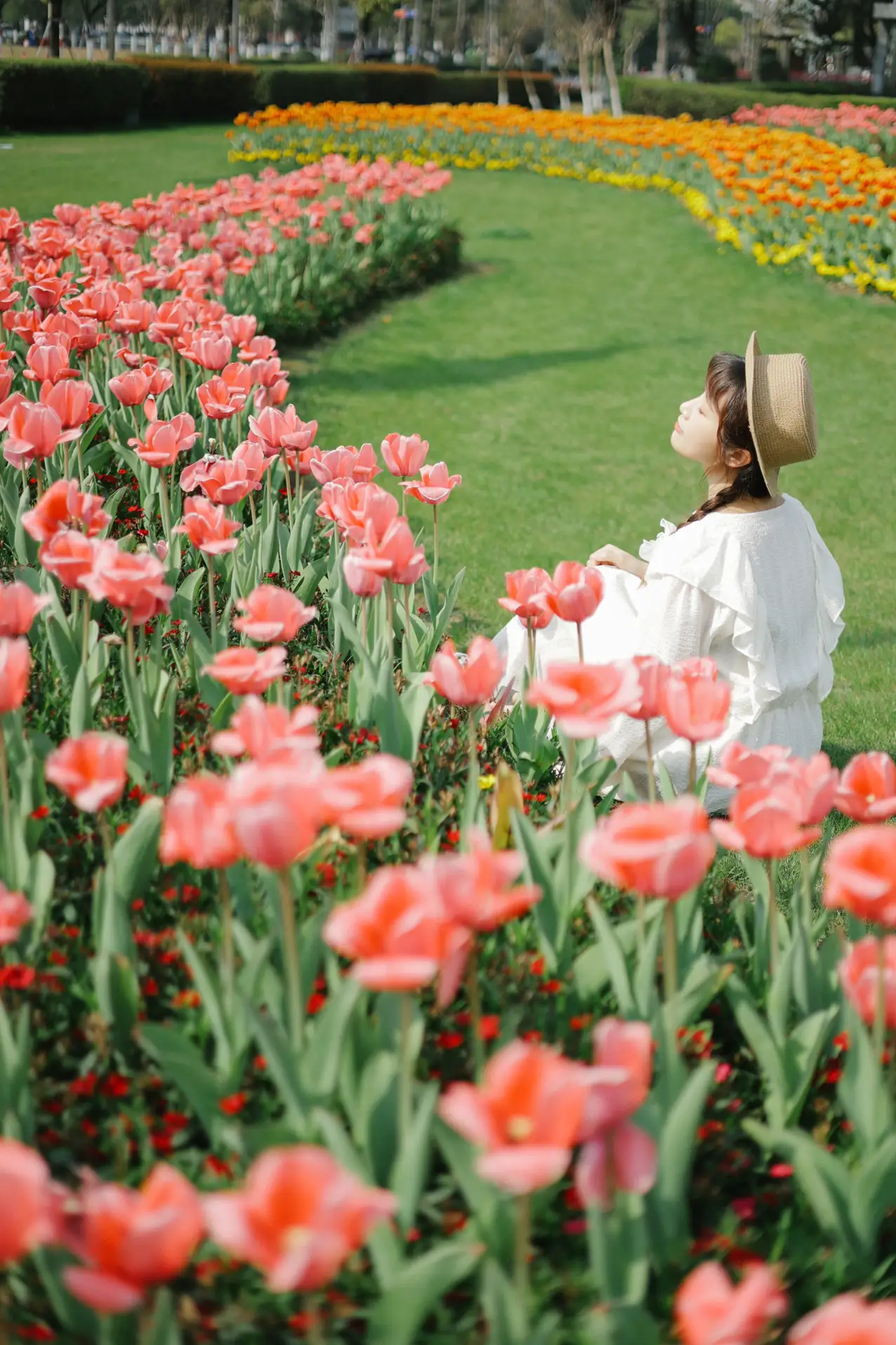 [艺图语] 2022.09.10 Vol.1920 – 郁金香花开 蓝胖子-#[28P]-17