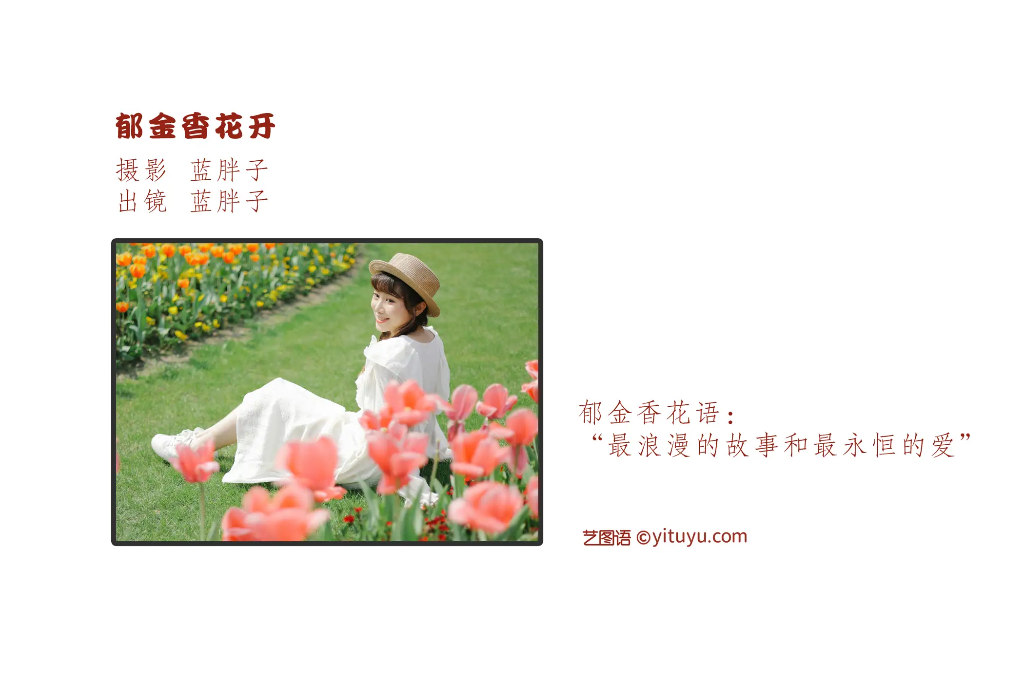 [艺图语] 2022.09.10 Vol.1920 – 郁金香花开 蓝胖子-#[28P]-2