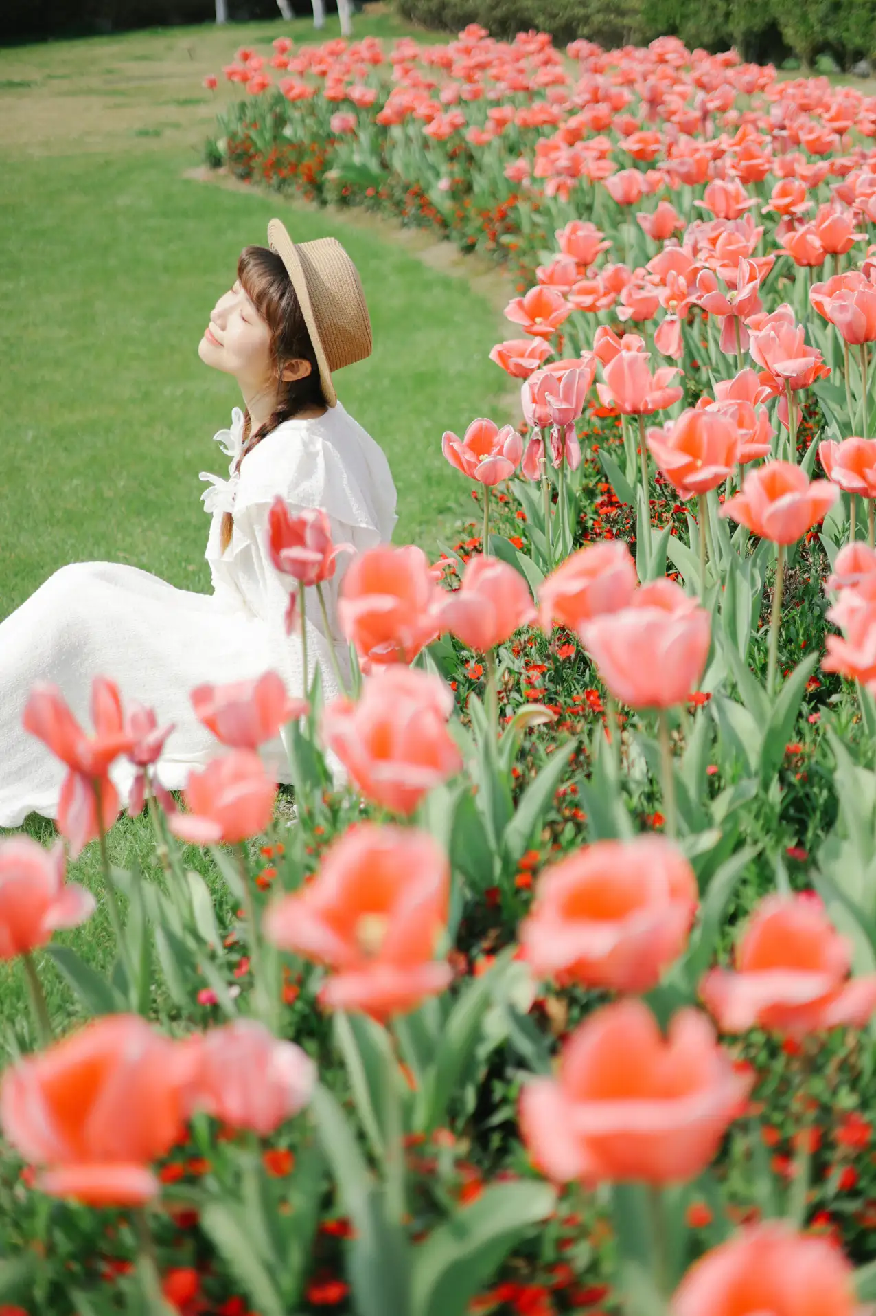 [艺图语] 2022.09.10 Vol.1920 – 郁金香花开 蓝胖子-#[28P]-21