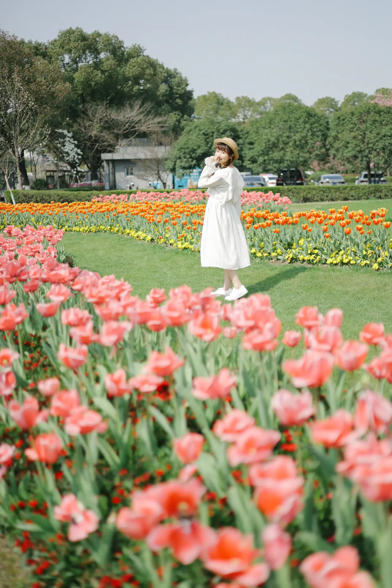 [艺图语] 2022.09.10 Vol.1920 – 郁金香花开 蓝胖子-#[28P]-28