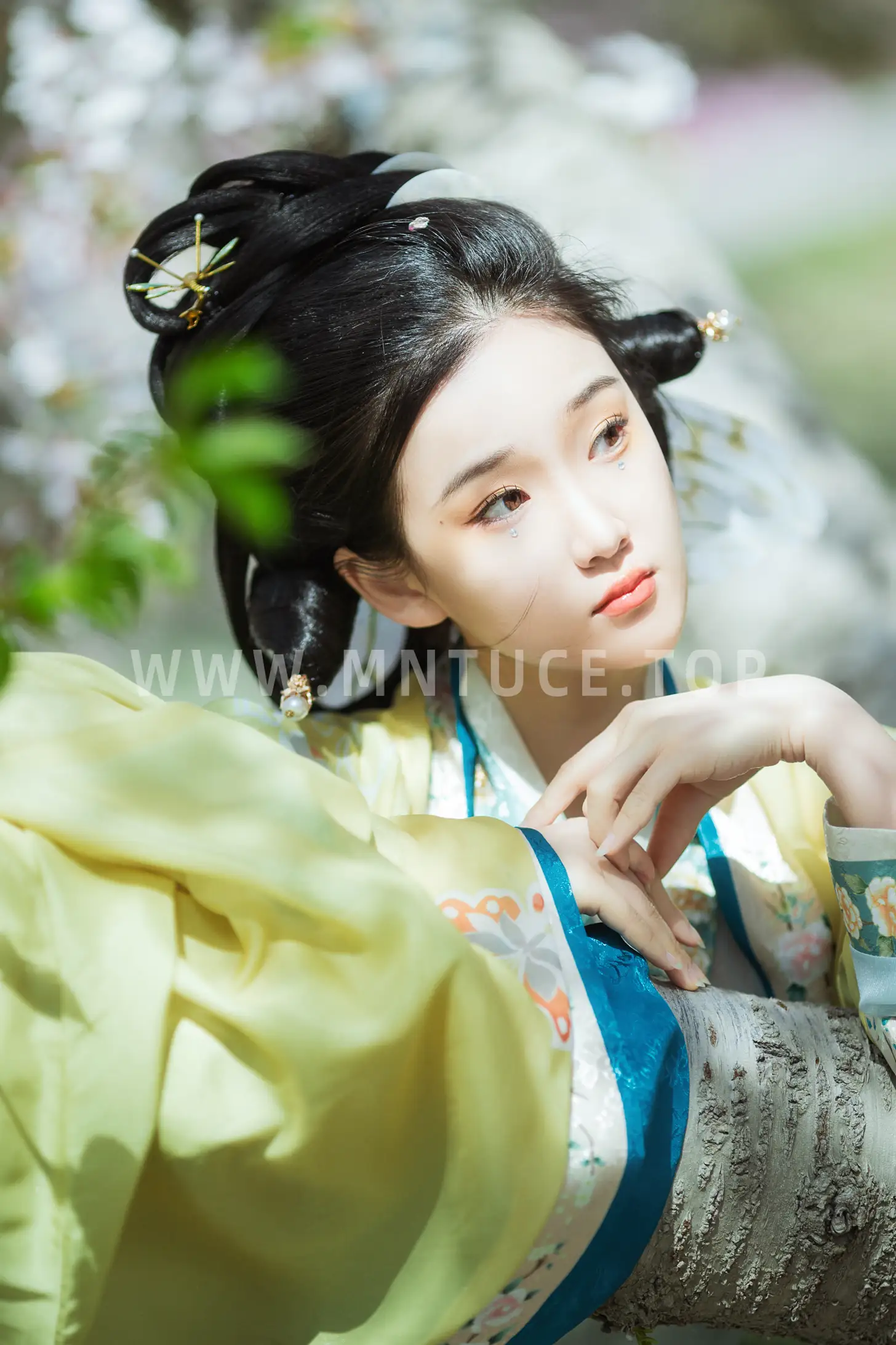 [艺图语] 2022.07.15 Vol.1481 – 蝶恋花 相望回首喵喵喵#[23P]-19