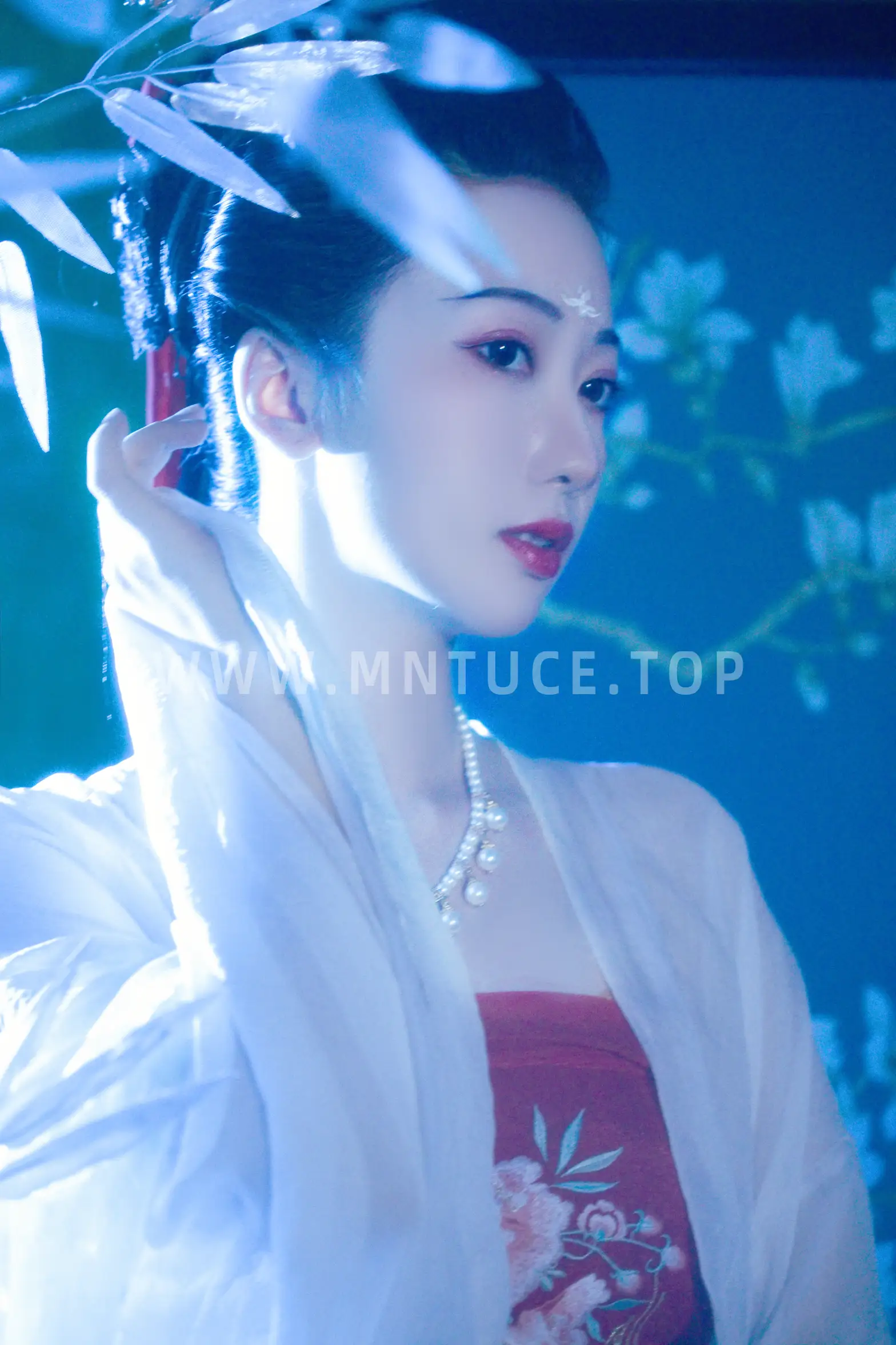 [艺图语] 2022.08.22 Vol.1767 – 竹林深处 犬壹-#[26P]-18