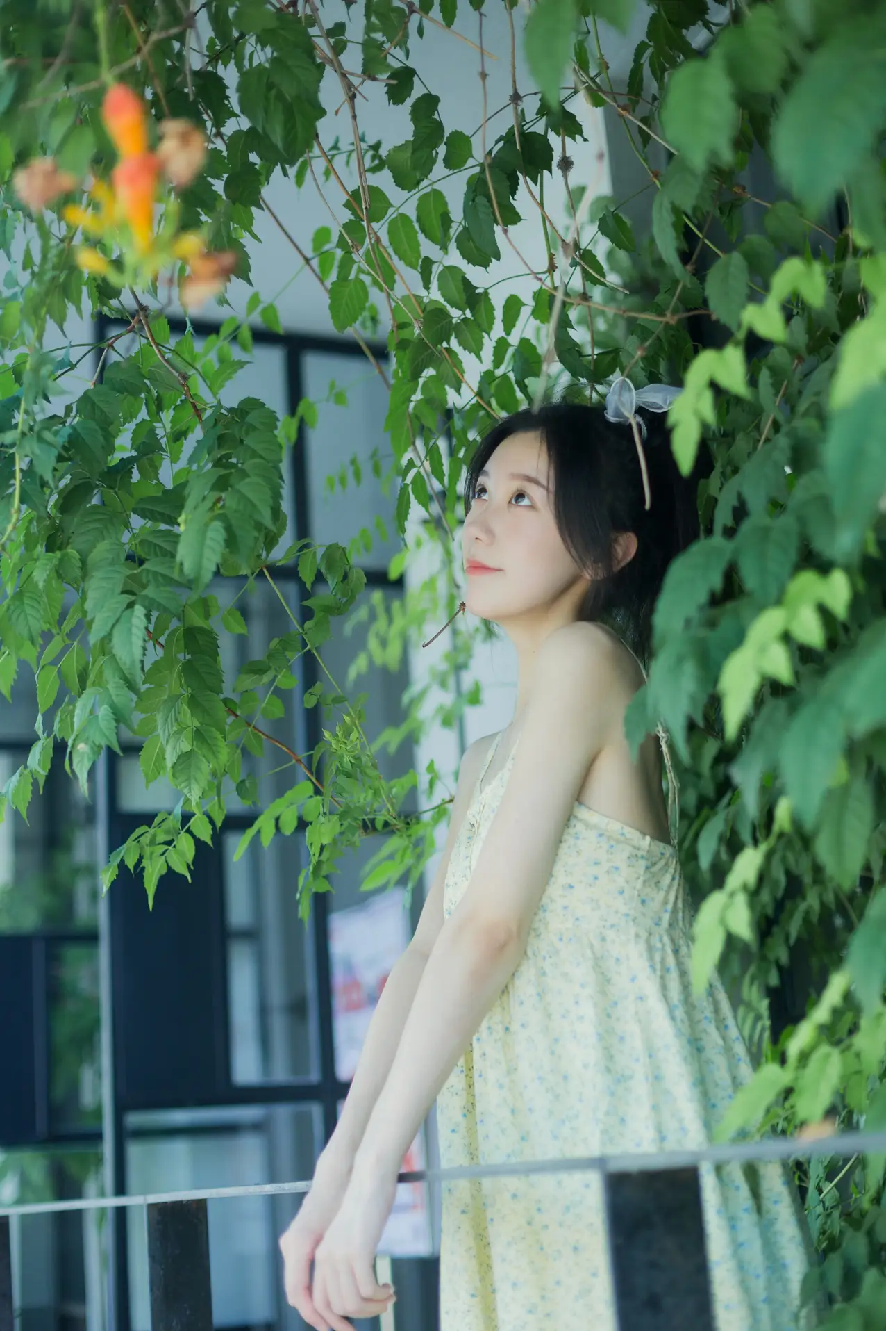 [艺图语] 2022.08.18 Vol.1732 – 夏日凌霄 饲猫少女 饲猫少女-#[33P]-11