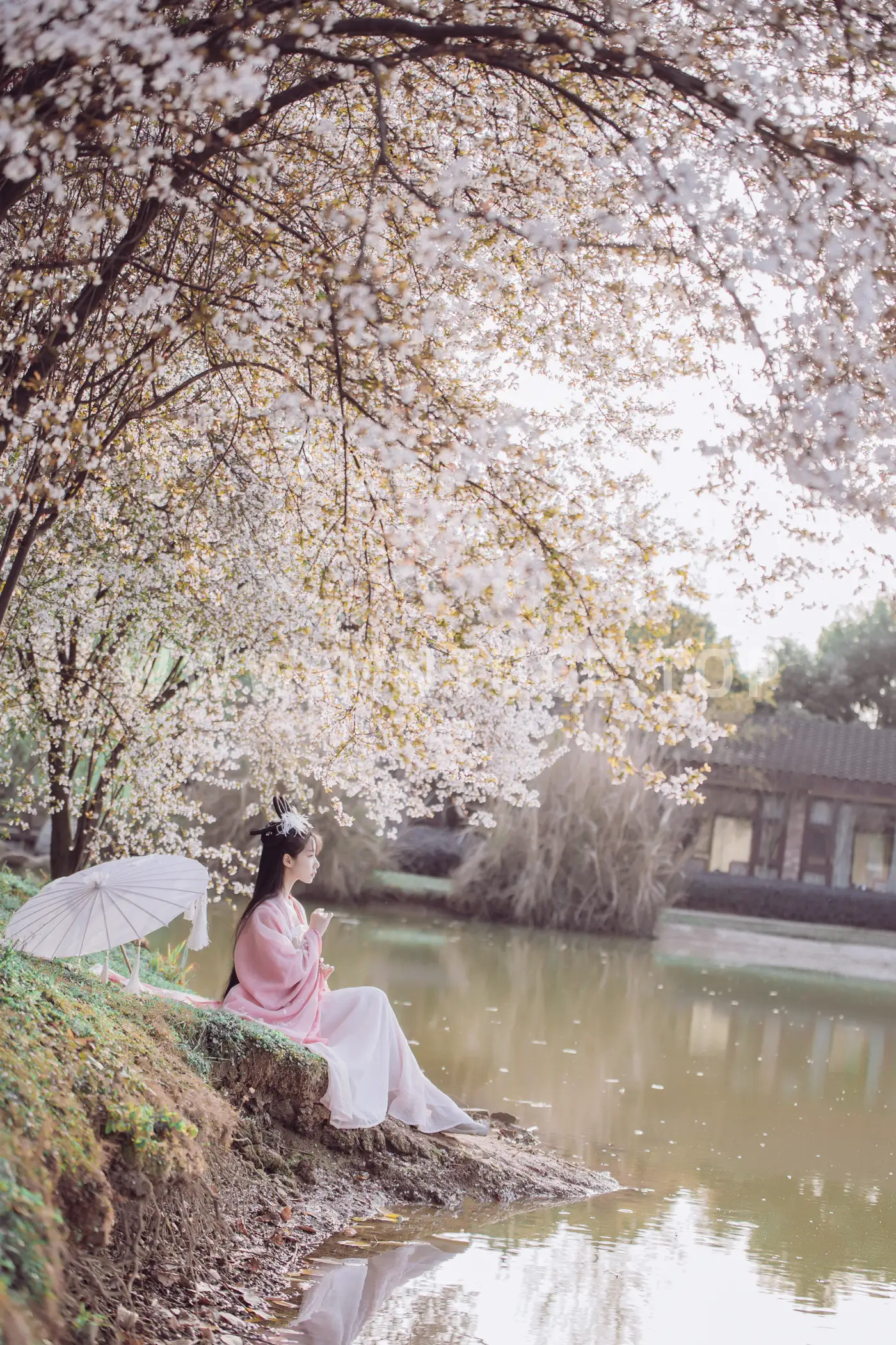 [艺图语] 2022.05.26 Vol.0993 – 香雪海 木景抒#[25P]-14