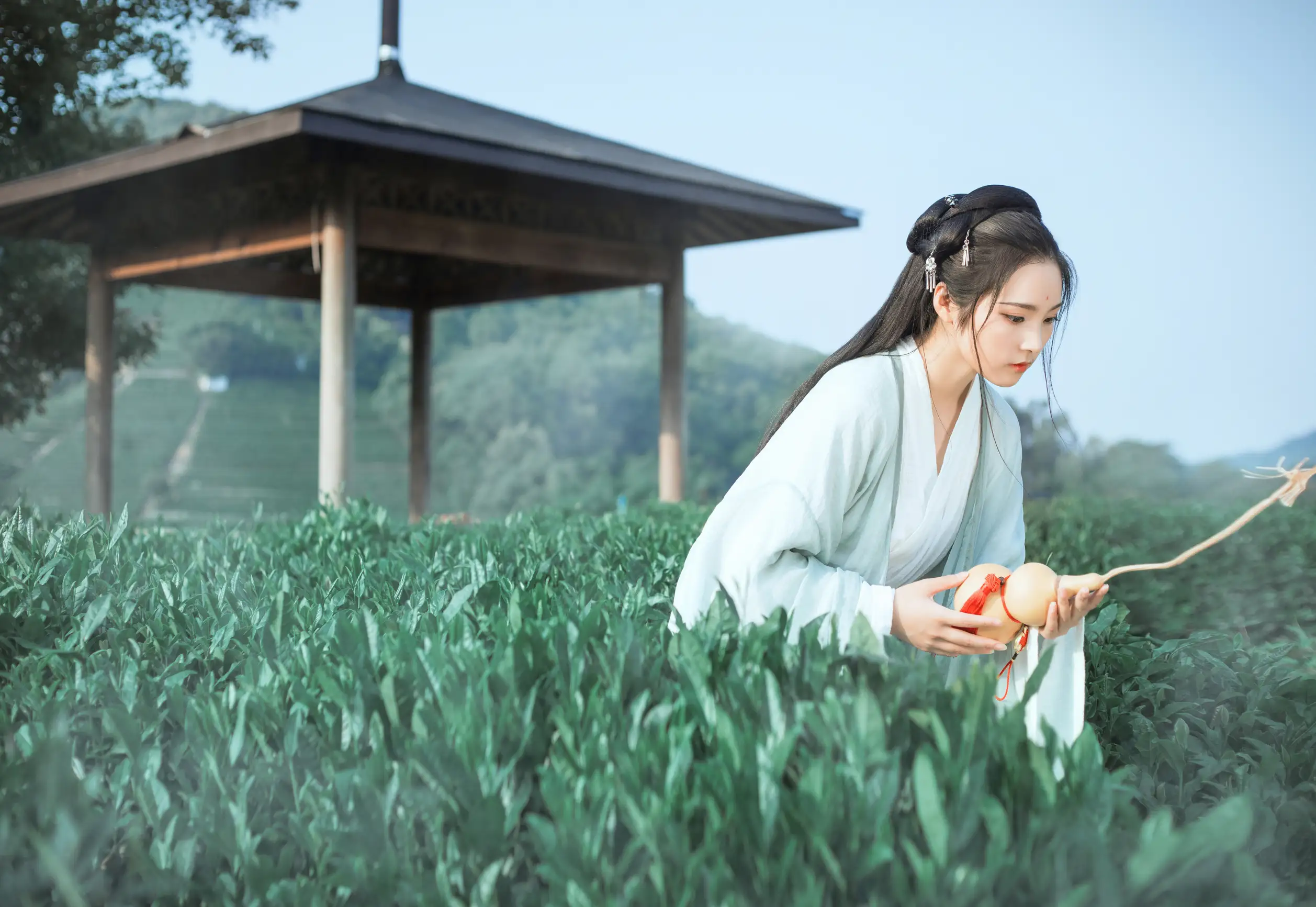 [艺图语] 2022.05.26 Vol.0986 – 茶山 一个白鹿#[32P]-7