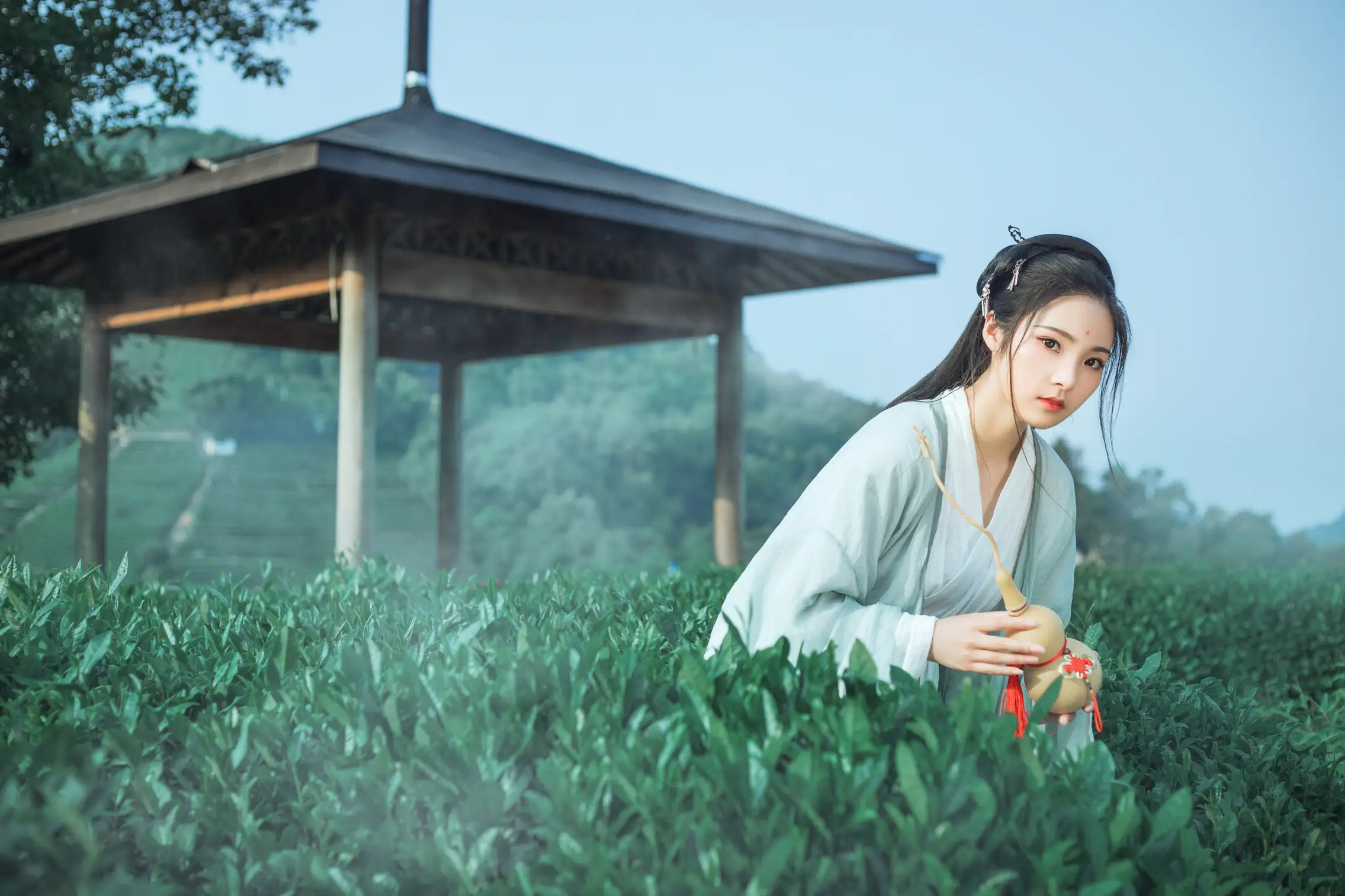 [艺图语] 2022.05.26 Vol.0986 – 茶山 一个白鹿#[32P]-8