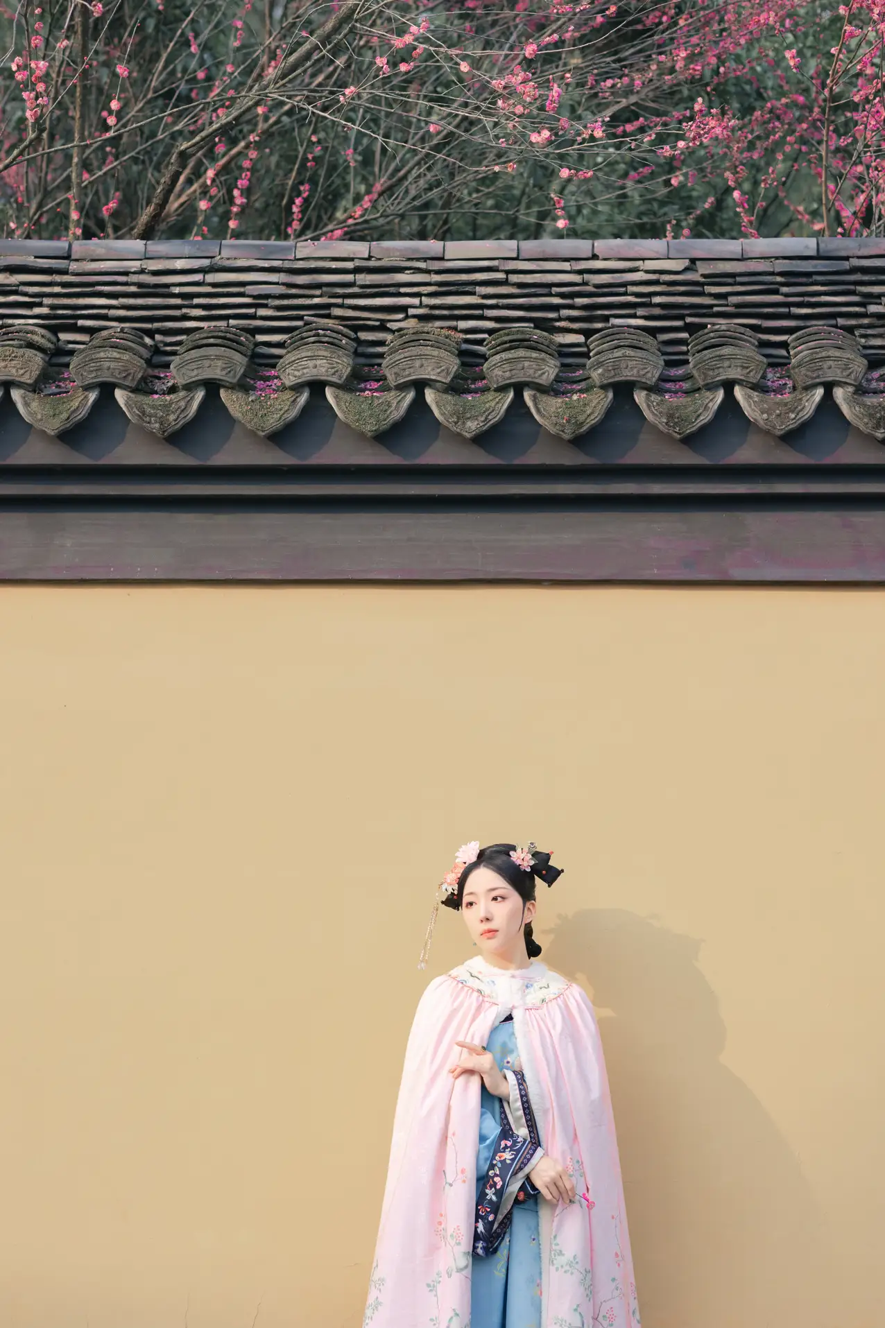[艺图语] 2022.06.06 Vol.1101 – 探梅 是真的南渊#[43P]-40
